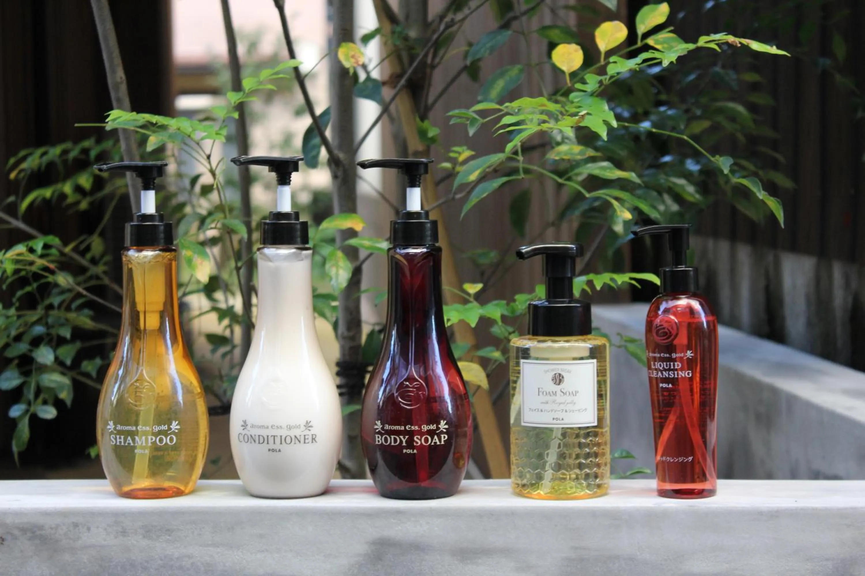 Hot Spring Bath in Koyado Enn