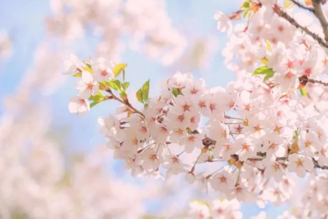 Nearby landmark in Hotel Wakamizu