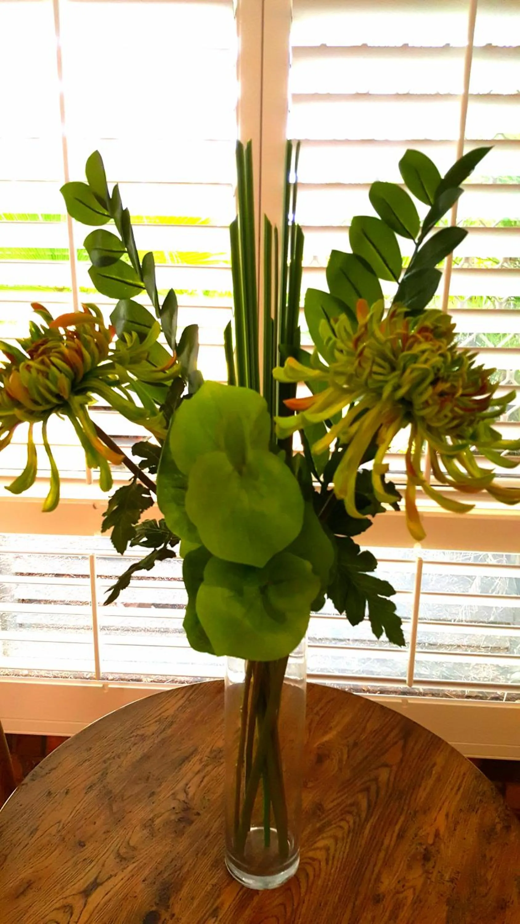 Day in Ballina Palms Boutique Motel