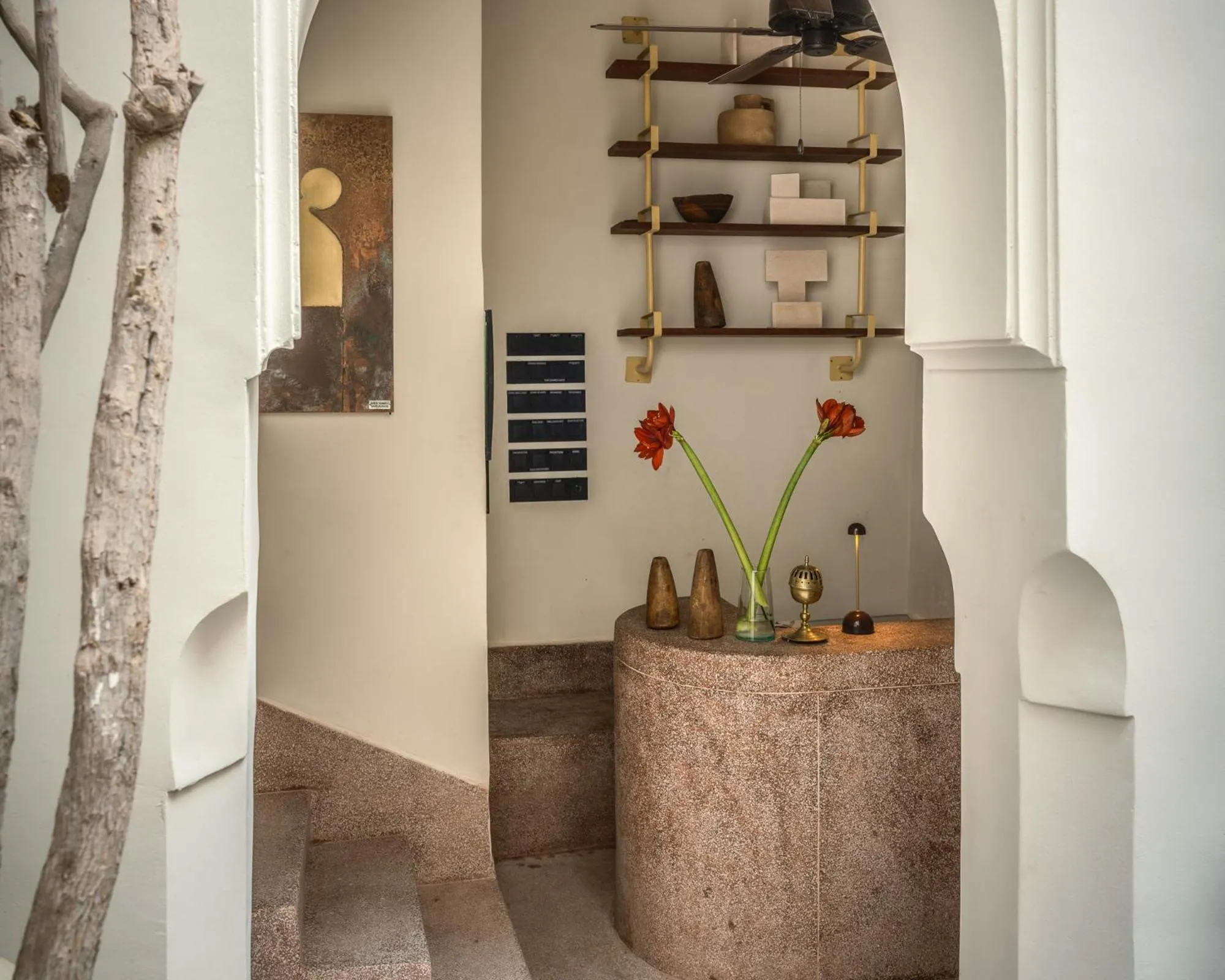 Riad Brummell Medina