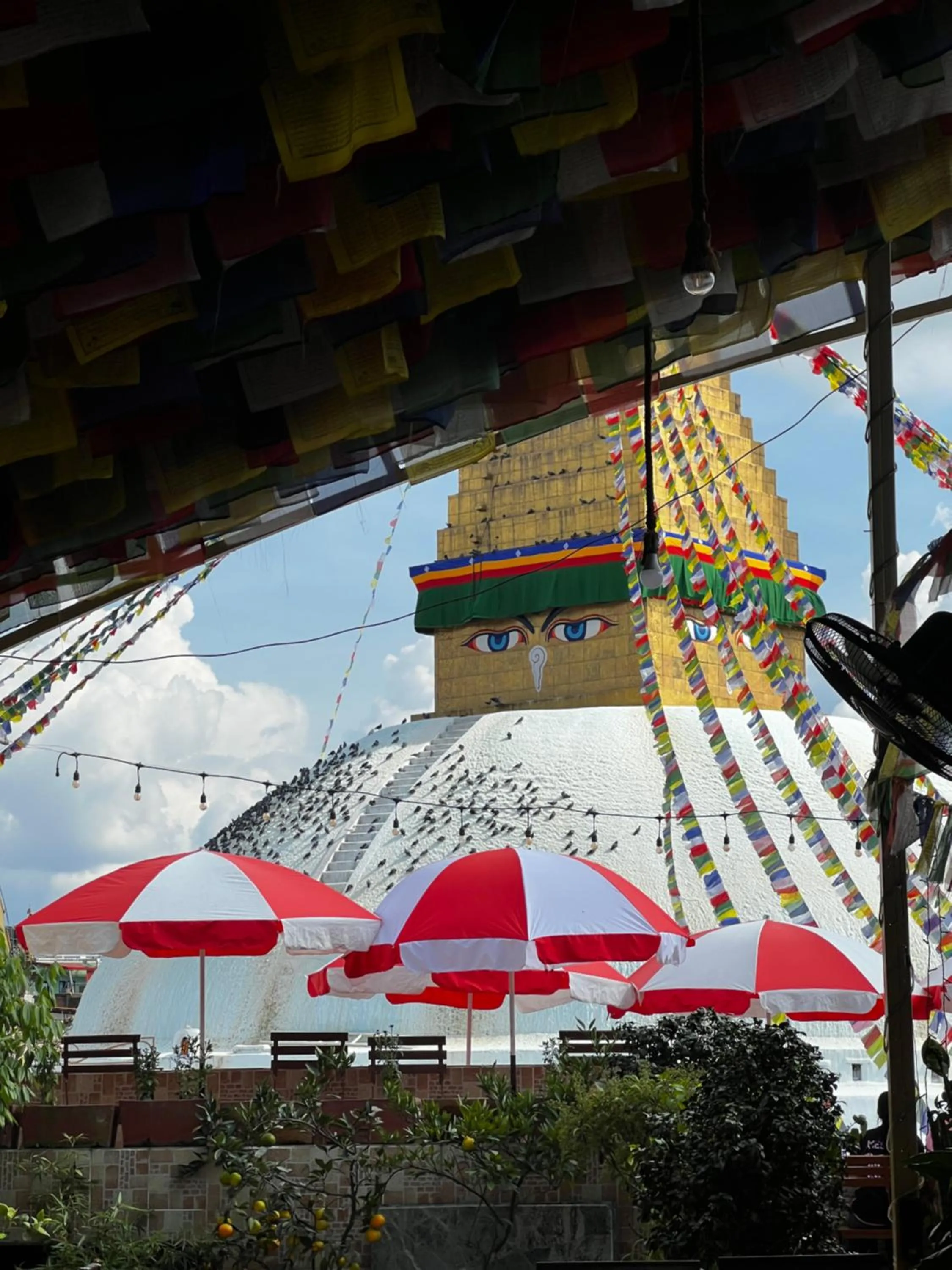 Restaurant/places to eat in Boudha Stupa View Guest House