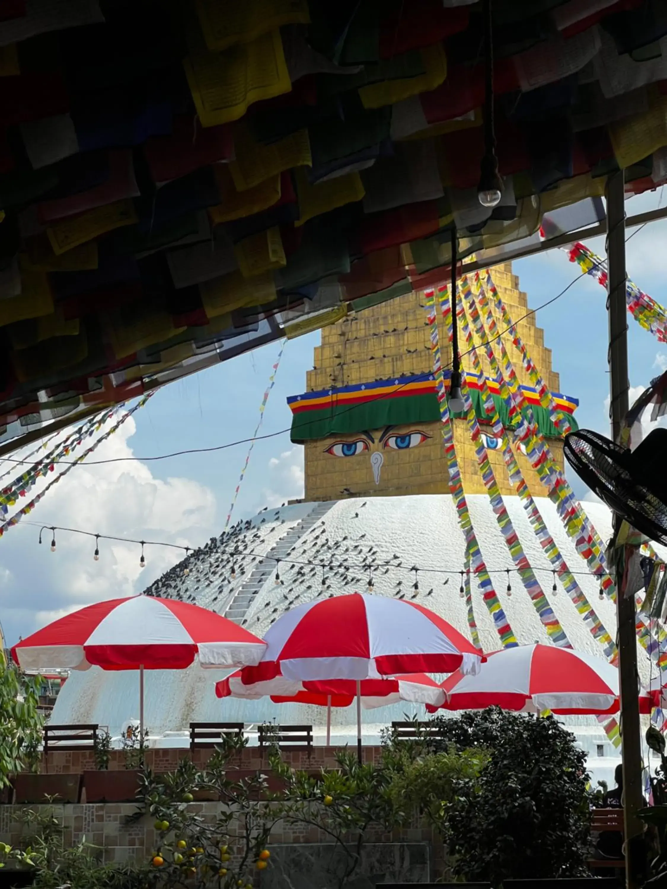 Restaurant/places to eat in Boudha Stupa View Guest House Restaurant/places to eat in Boudha Stupa View Guest House