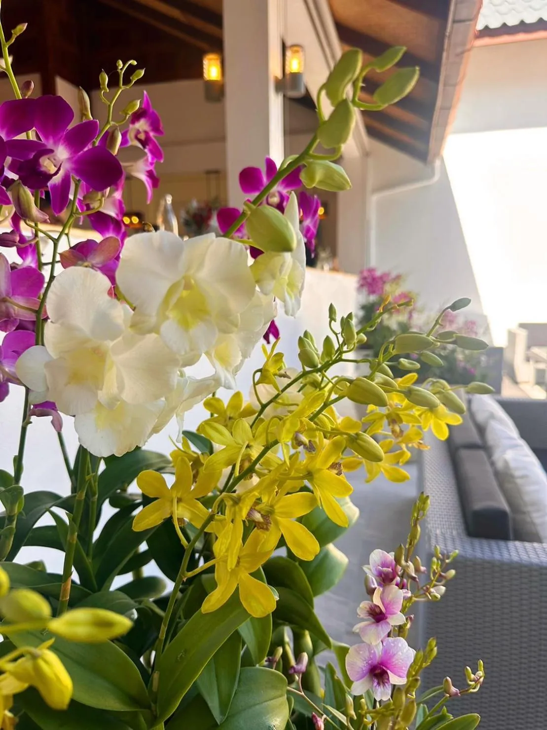 Restaurant/places to eat in Ocean Pie Phuket - Adult Only