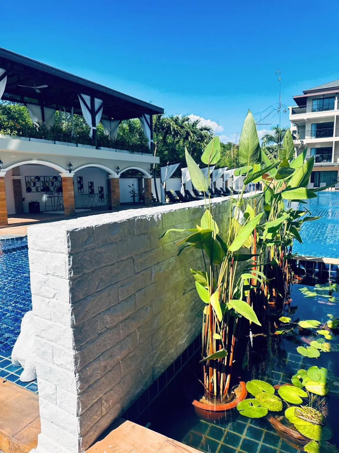 Swimming pool in Ocean Pie Phuket - Adult Only