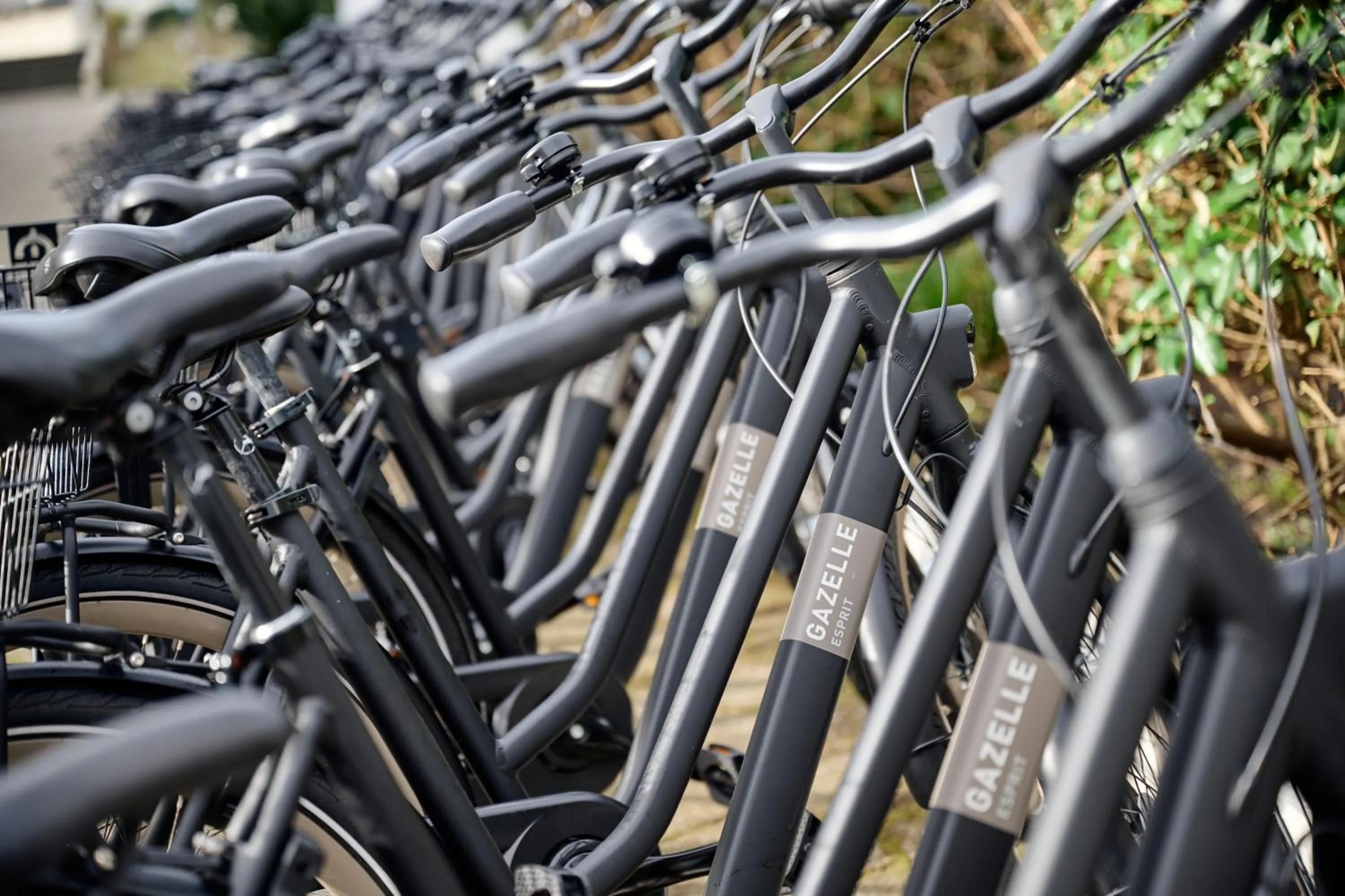 Cycling in Hotel Haus Norderney