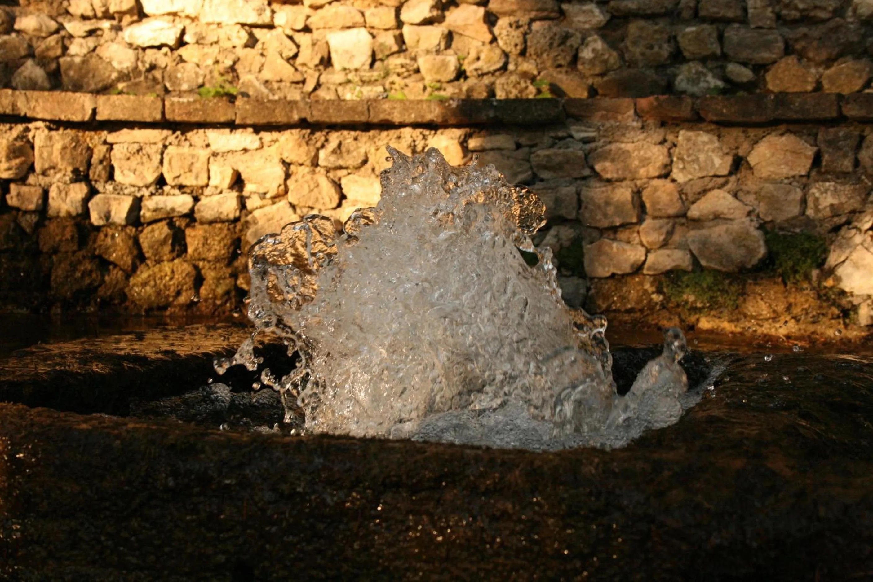 Garden view in Convento di Acqua Premula