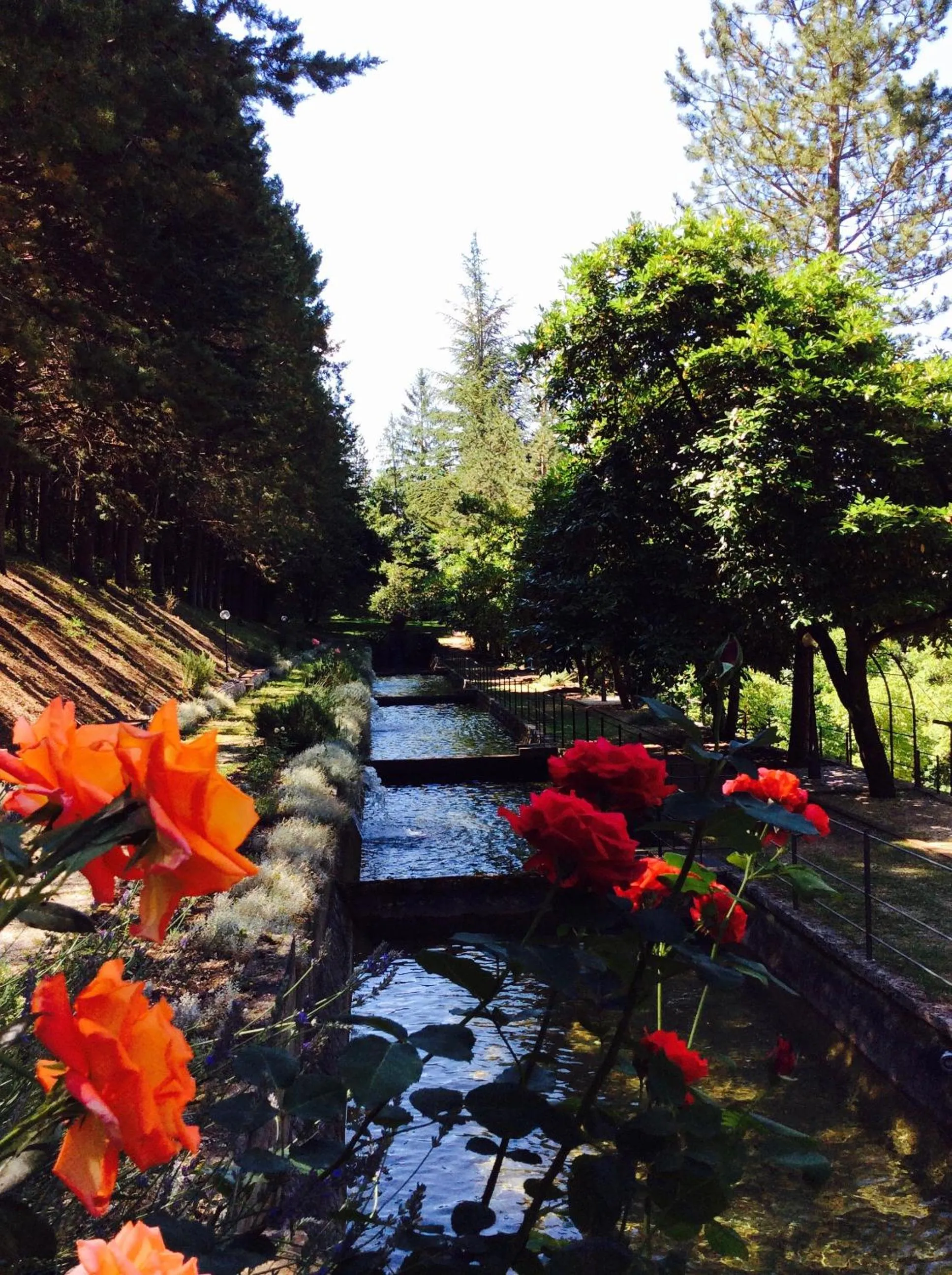 Garden in Convento di Acqua Premula