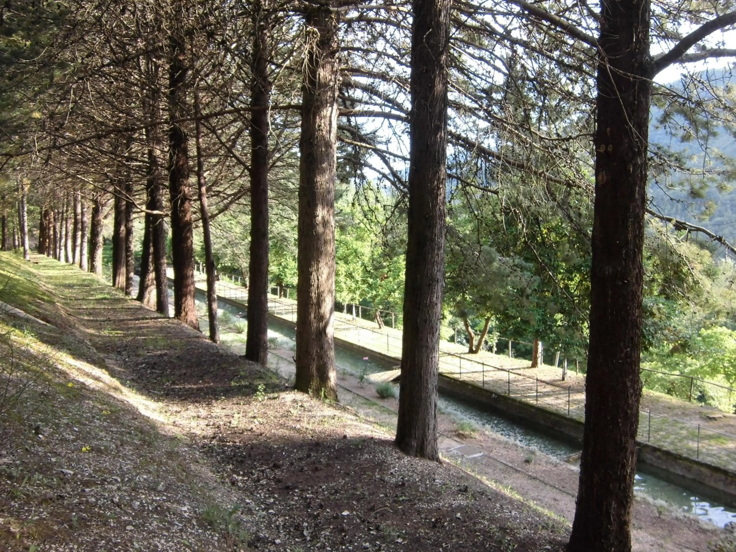Garden in Convento di Acqua Premula