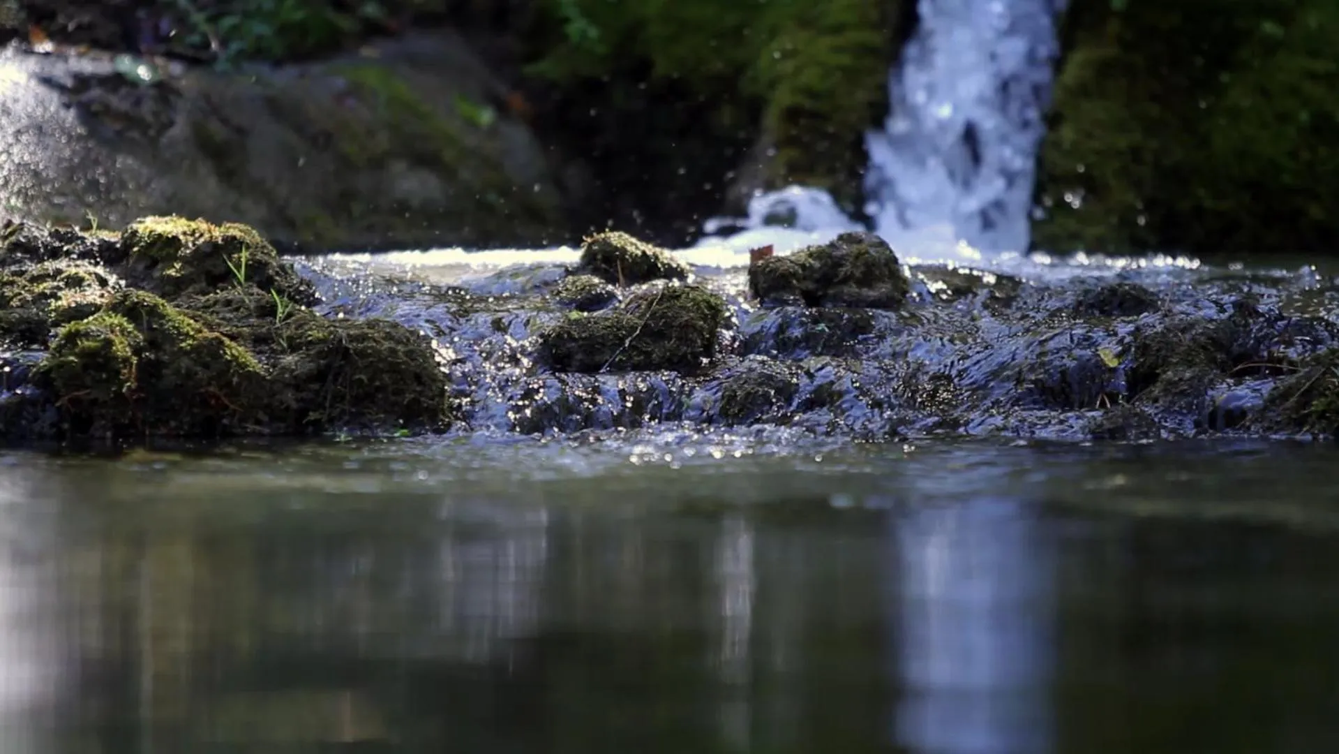 Garden in Convento di Acqua Premula
