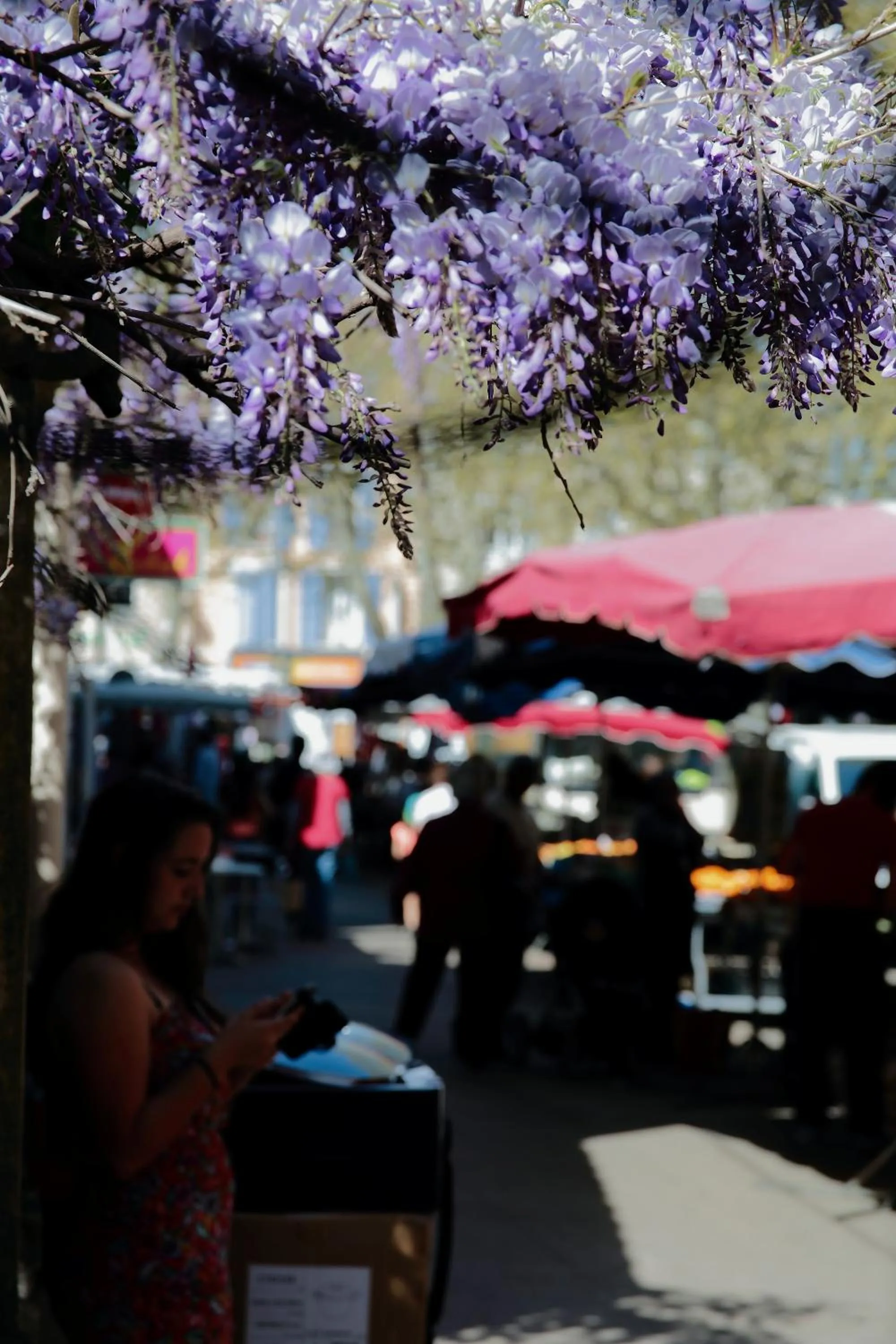 Activities in HOTEL DE FRANCE - Hôtel de charme en Provence