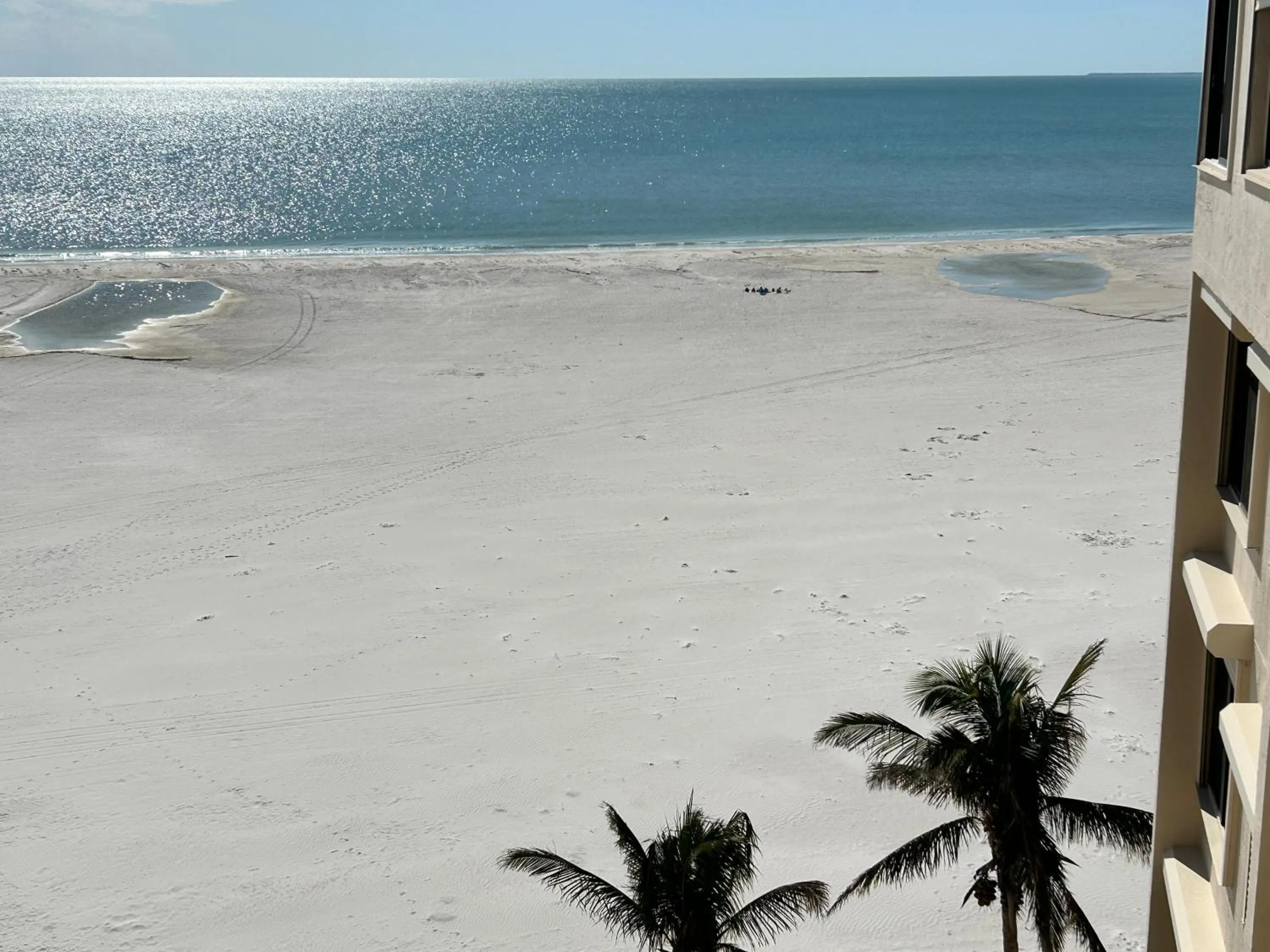 Always Summer On a White Sandy Beach