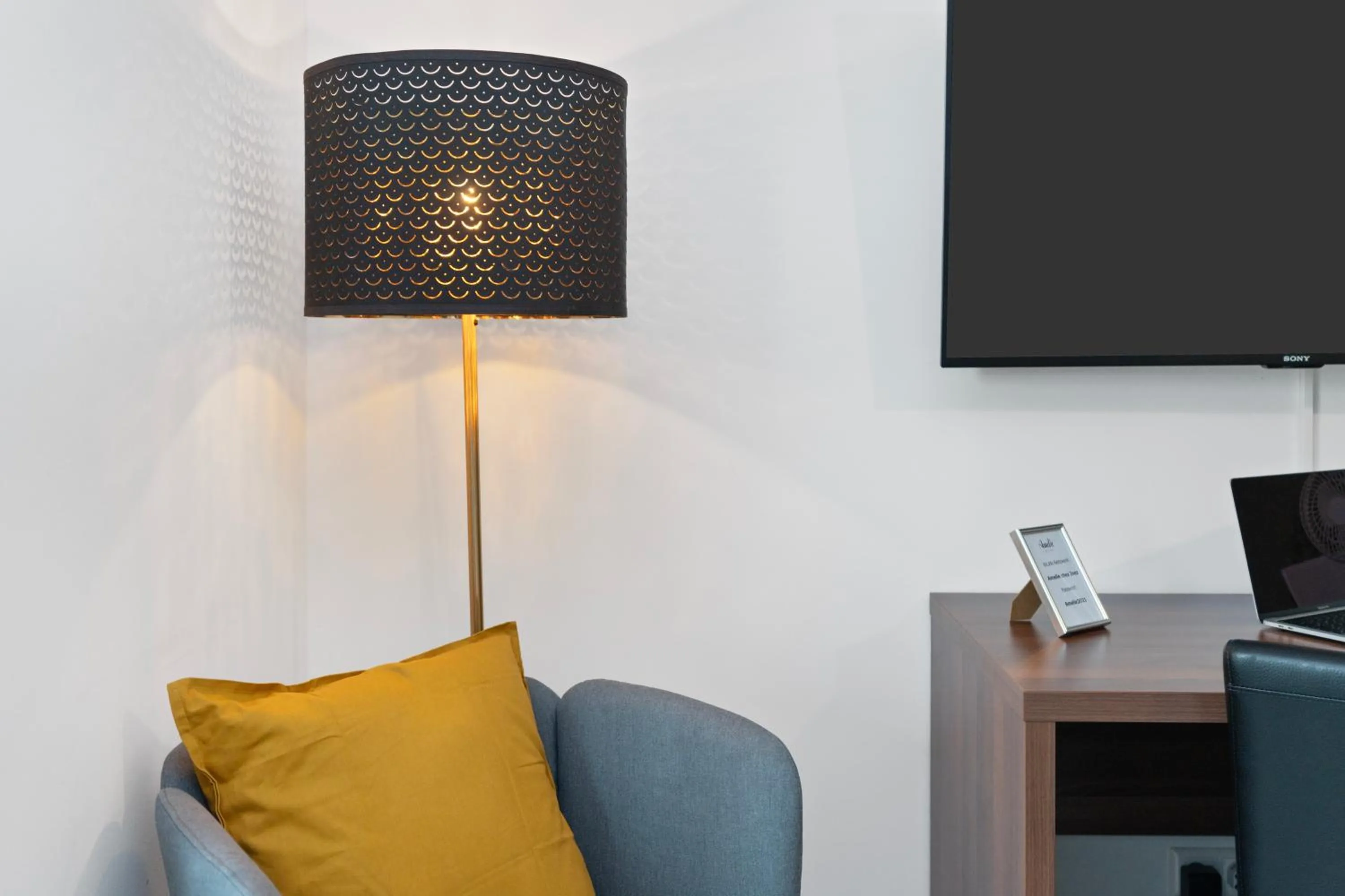 TV and multimedia in Amelie chez Inez