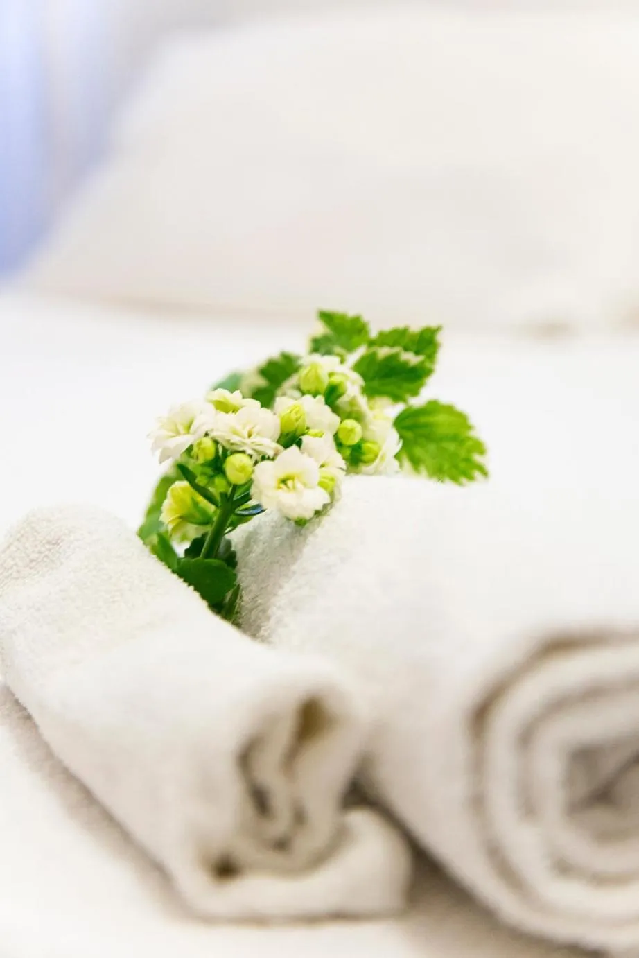 Decorative detail, Bed in B&B Casetta Roma