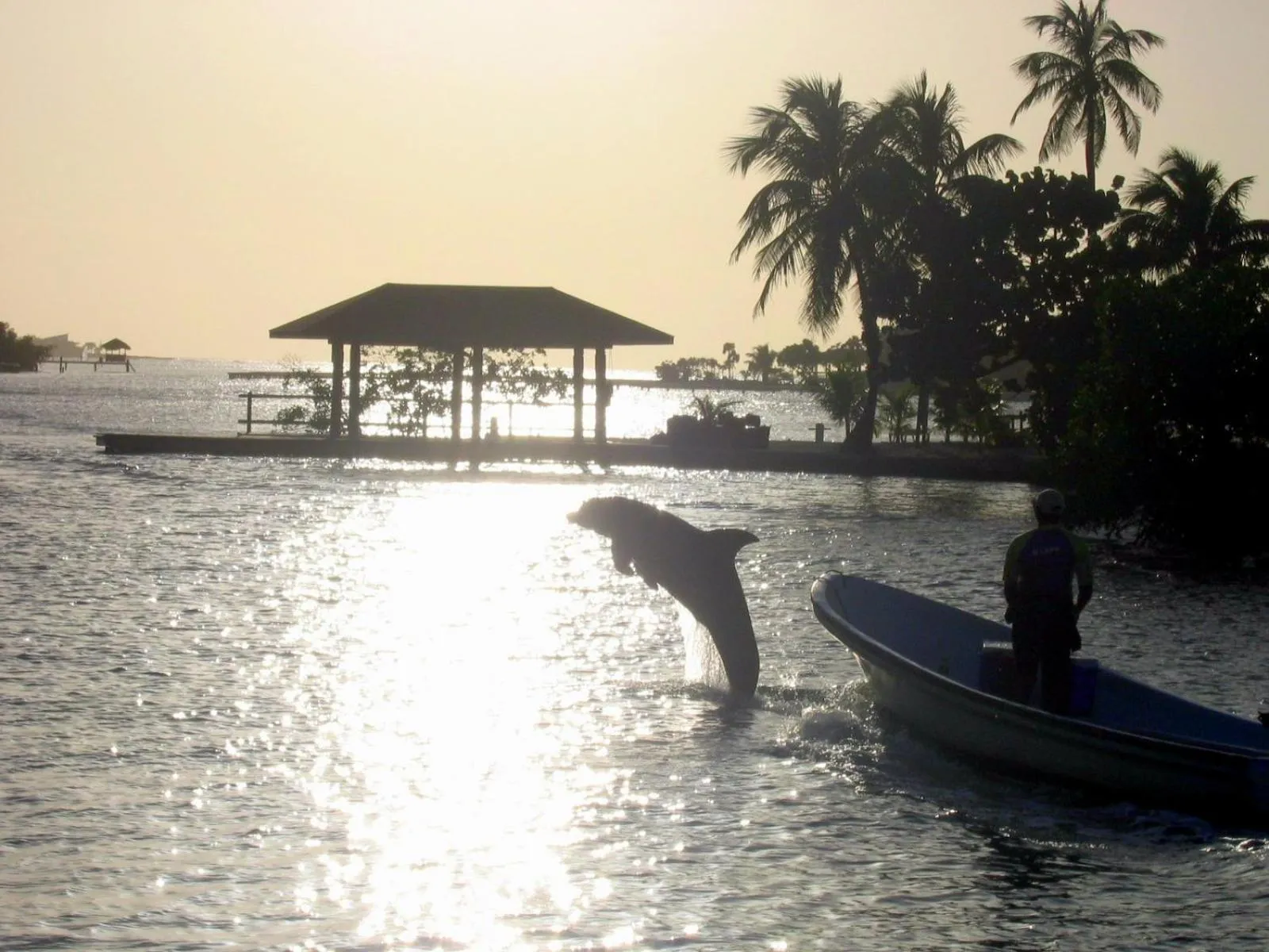 Activities in Acqua di Mare Resort