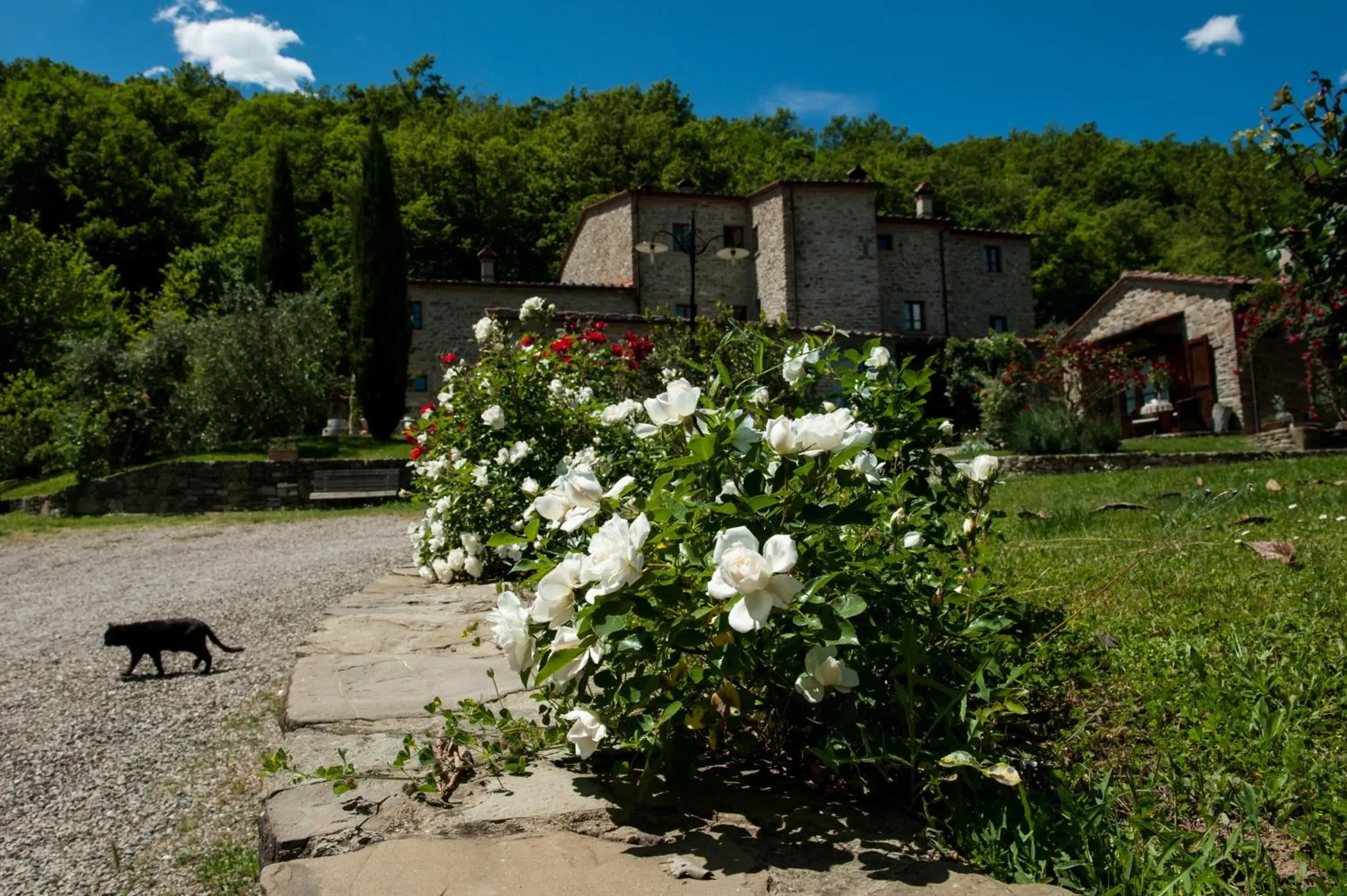 Agriturismo Azienda Agricola Il Pozzo Agriturismo Azienda Agricola Il Pozzo