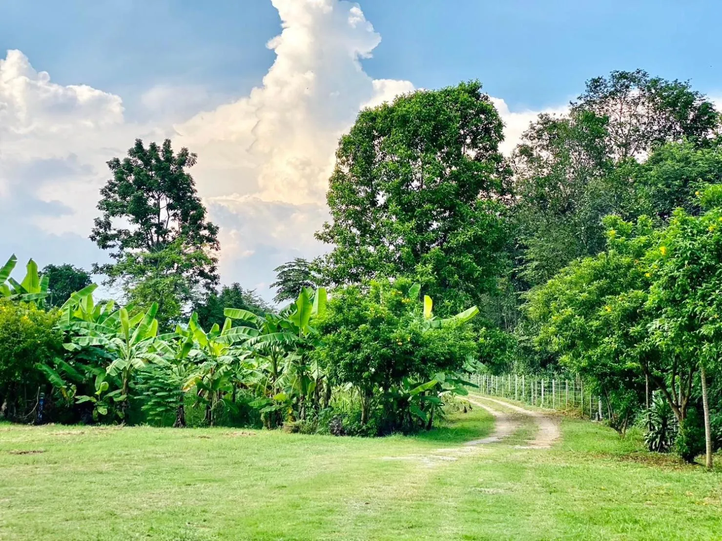 Natural landscape in Relax Camp Resort Kaeng Krachan
