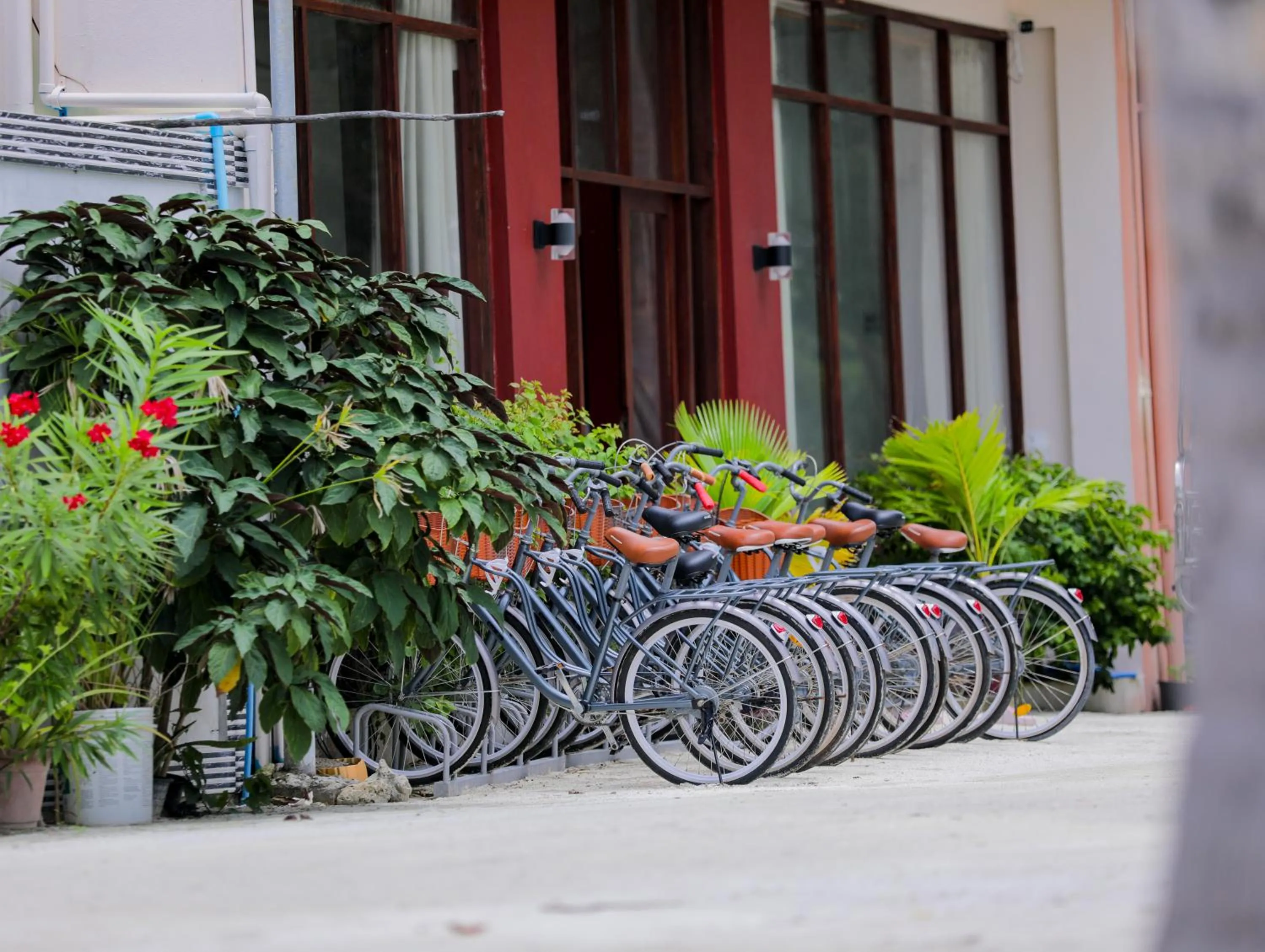 Cycling in Silver Oasis Maldives