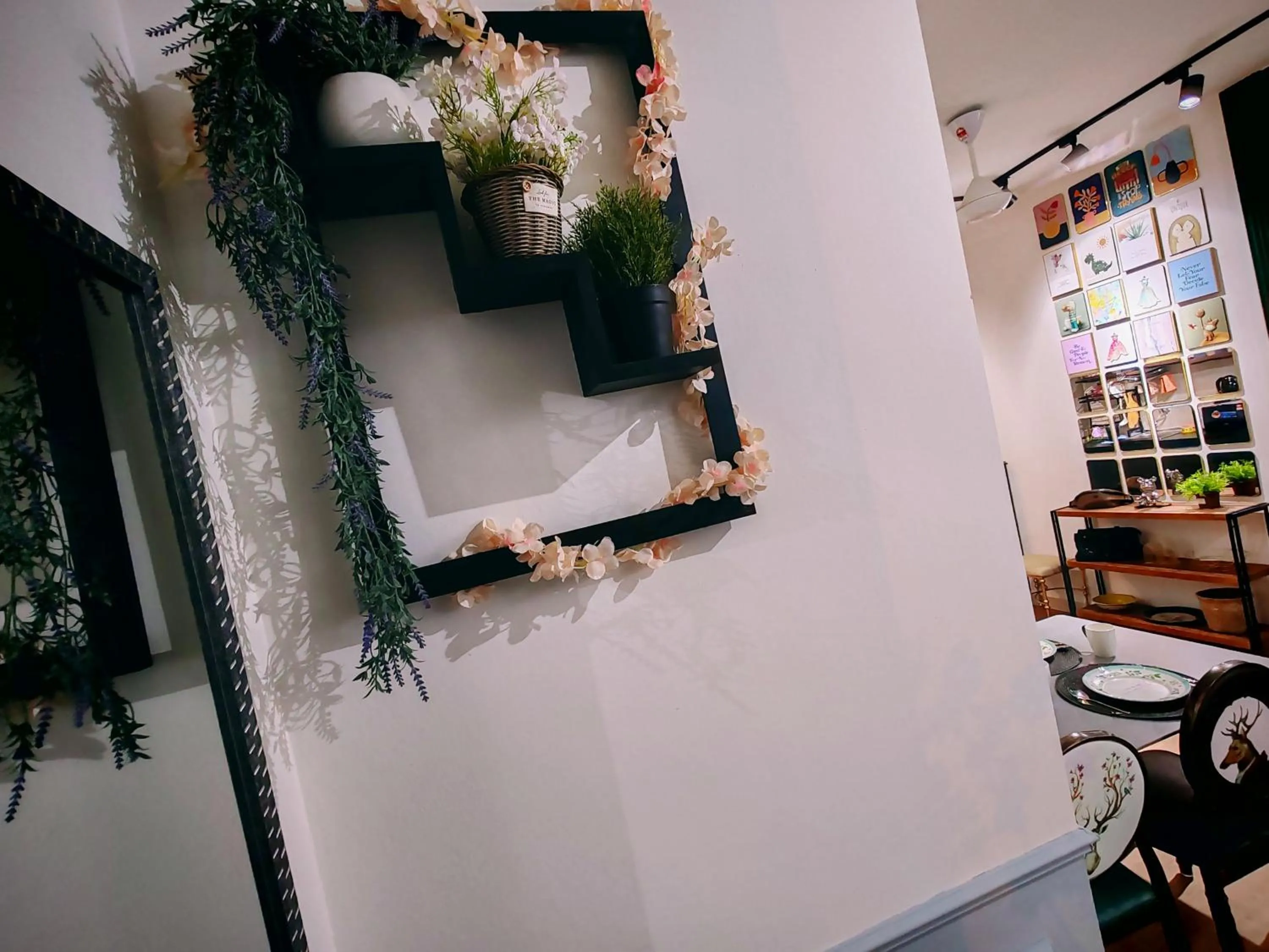 Moon Classic Falim by Irainbow