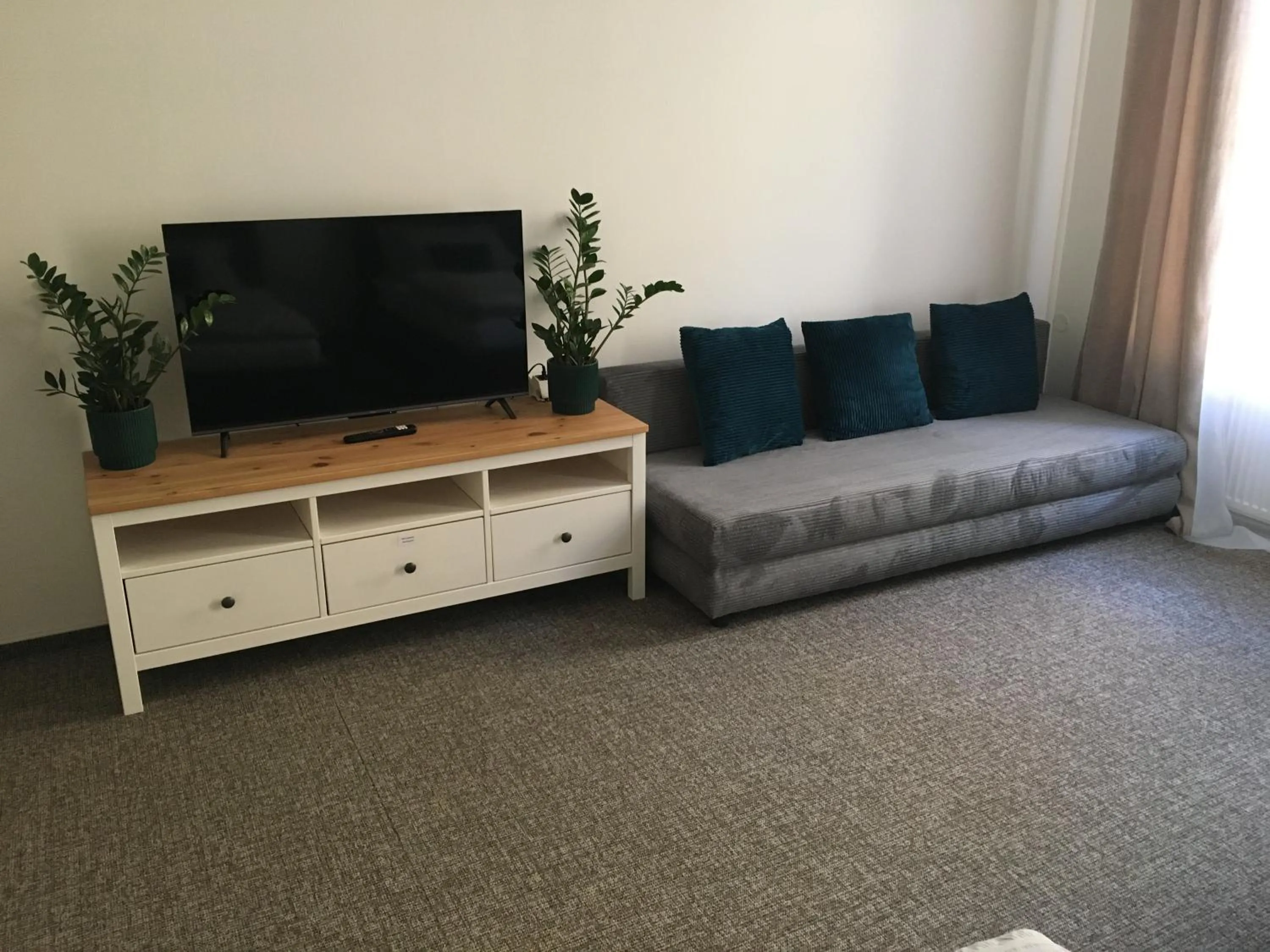 TV and multimedia in Apartmány Štěpánkova 85