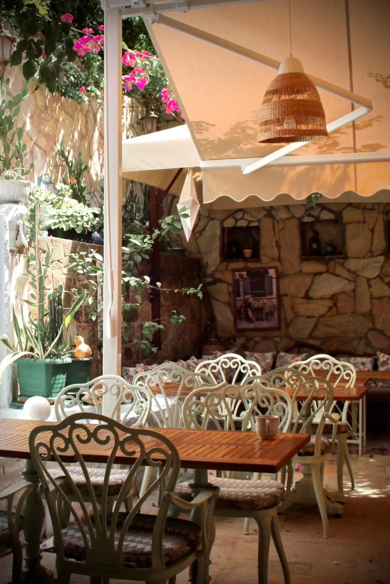 Restaurant/places to eat in Patron Hotel