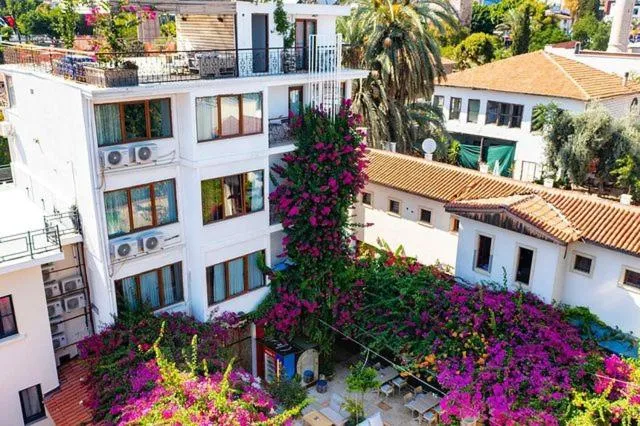 Restaurant/places to eat in Patron Hotel