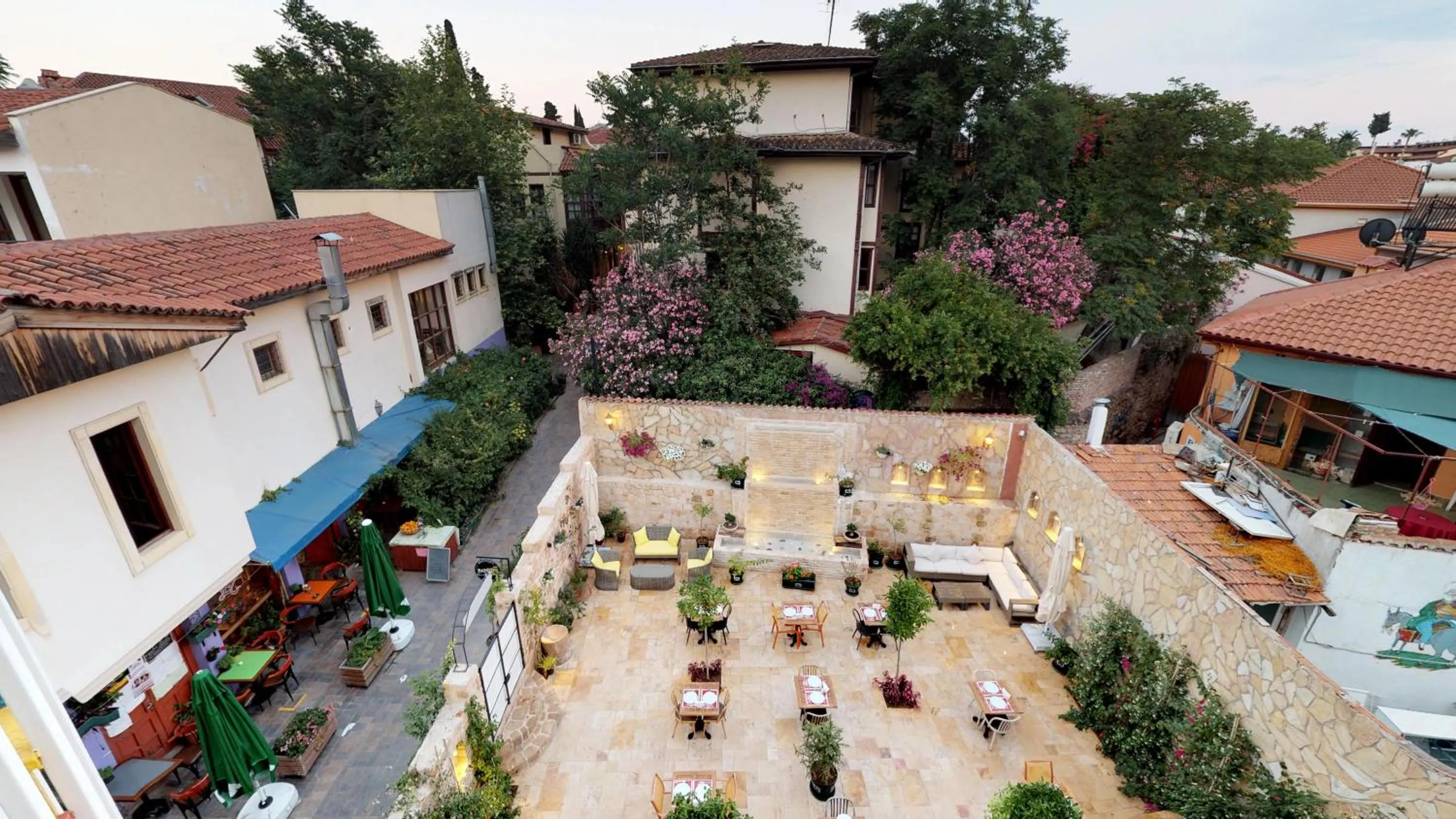 Garden view in Patron Hotel