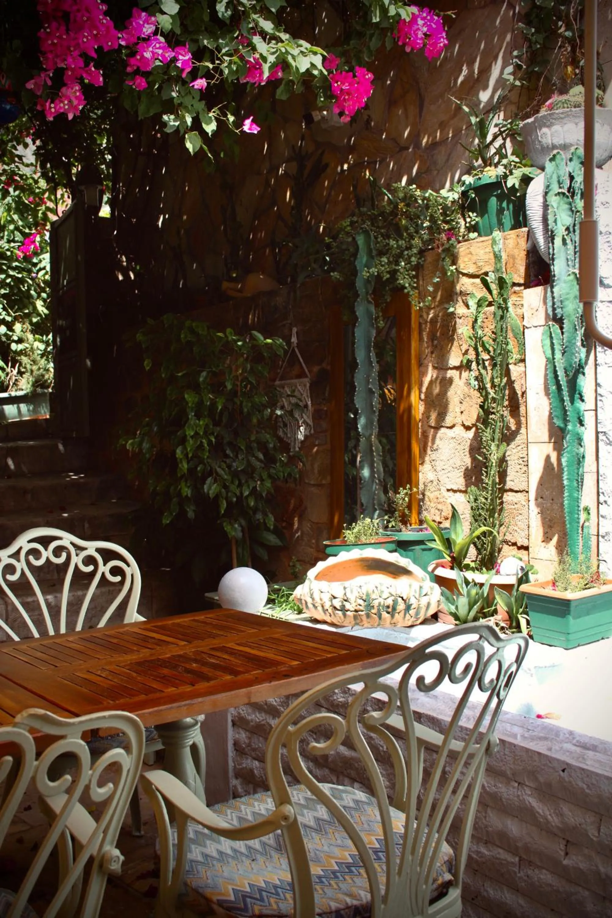 Restaurant/places to eat in Patron Hotel