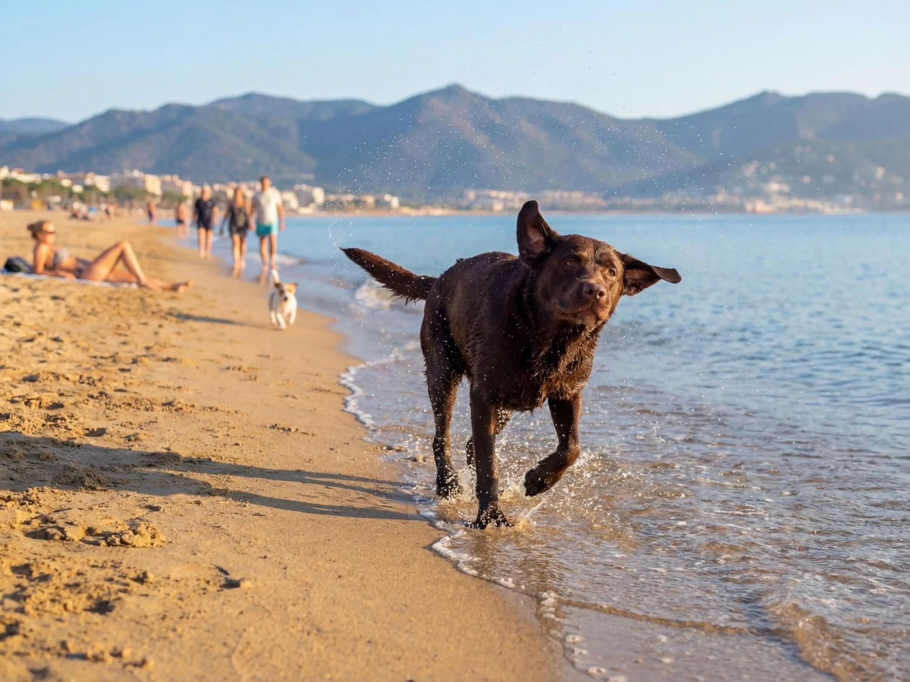 Camping Castelló Mar