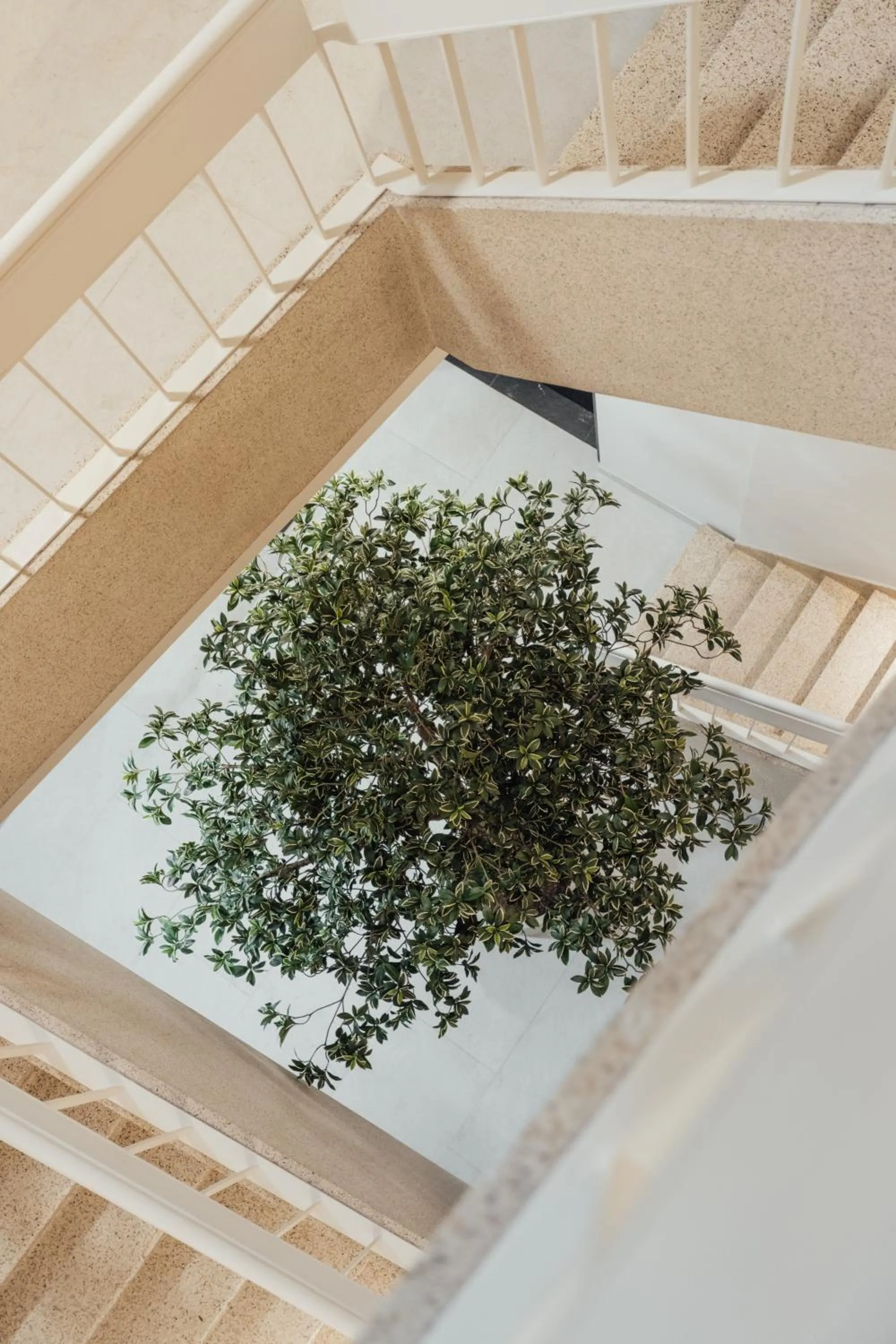 Property building in Getaway Liège