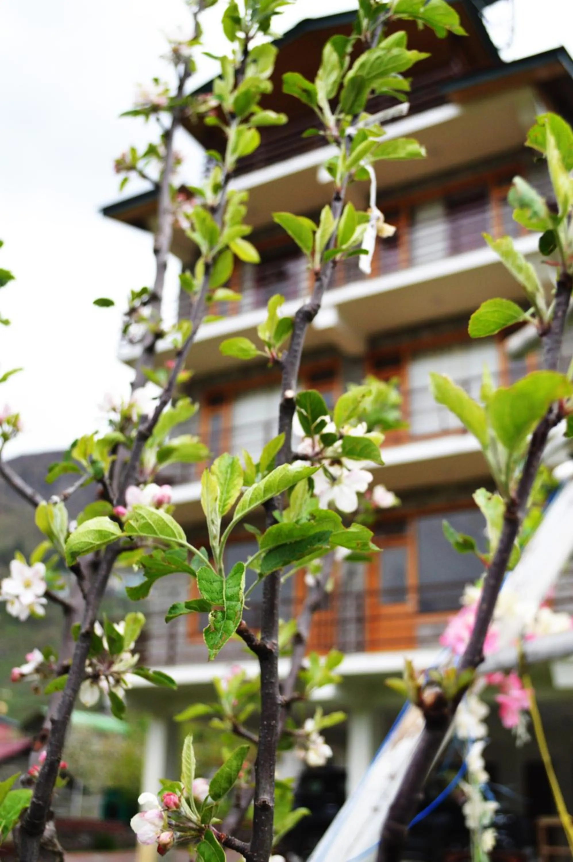 Property building in Manali Outdoor Retreat by Sheosante