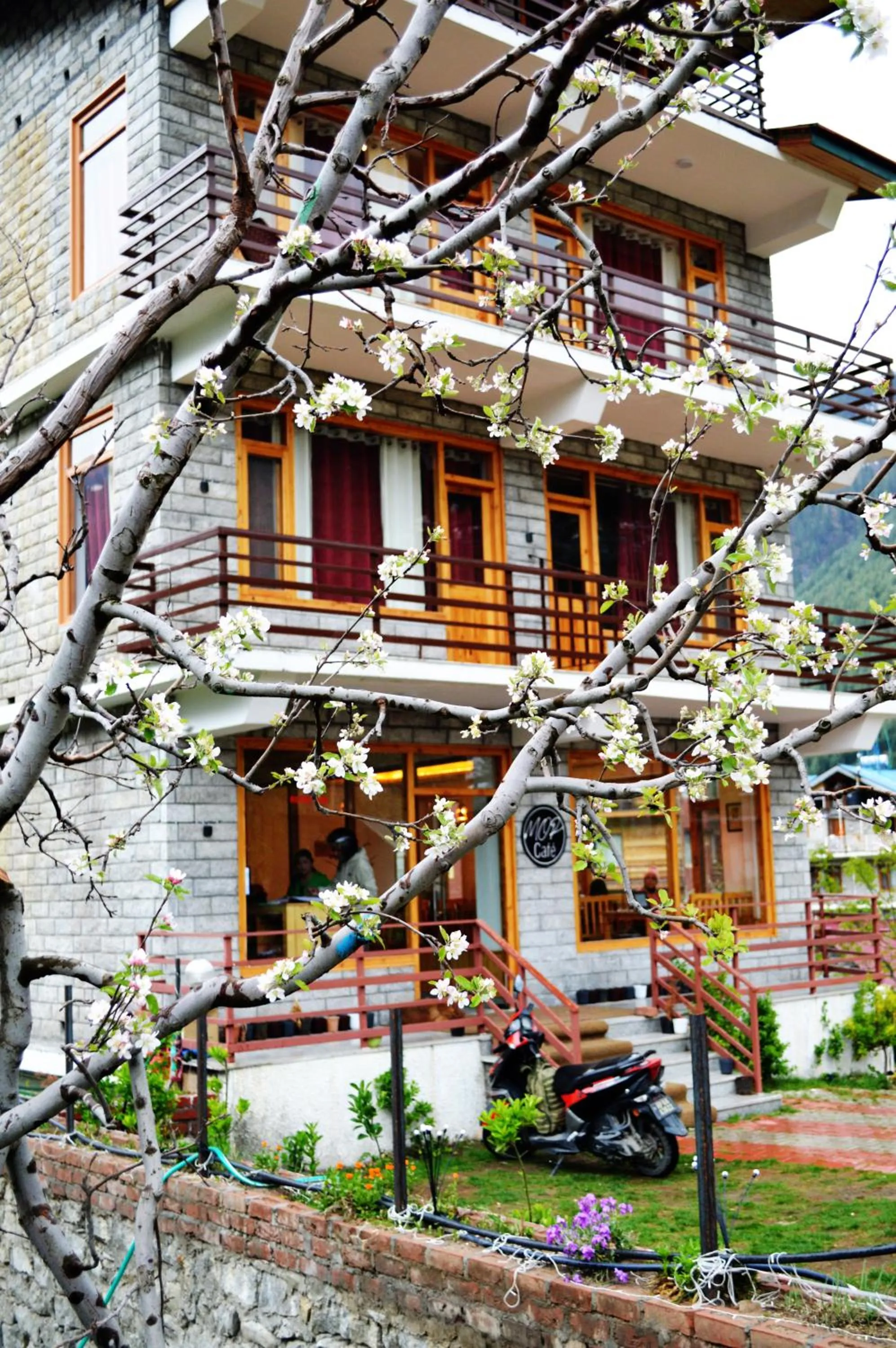 Property building in Manali Outdoor Retreat by Sheosante