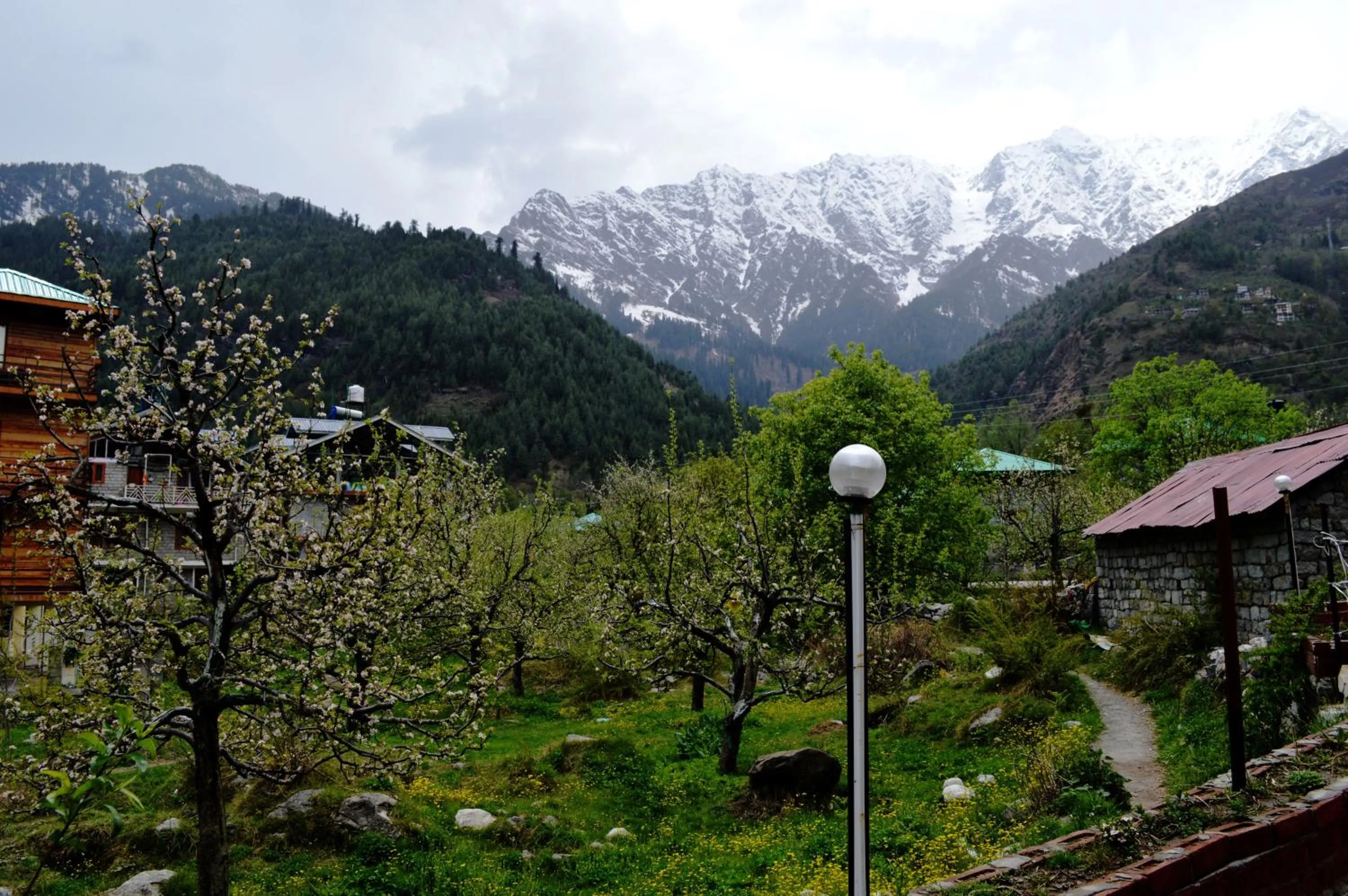 Mountain view in Manali Outdoor Retreat by Sheosante