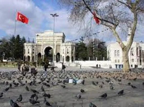 Activities in JOE BLACK APART