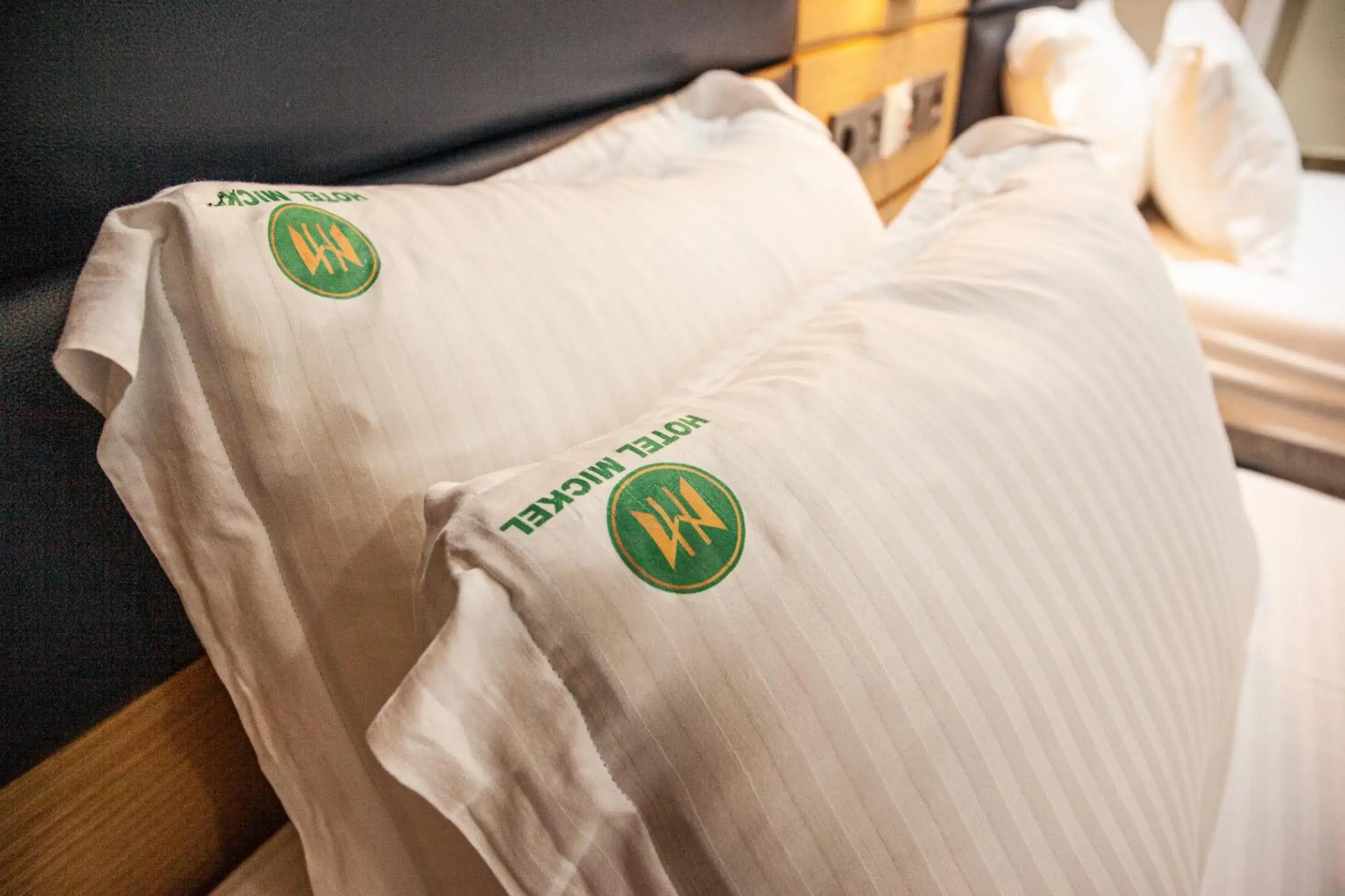 Superior Twin Room in HOTEL MICKEL Superior Twin Room in HOTEL MICKEL