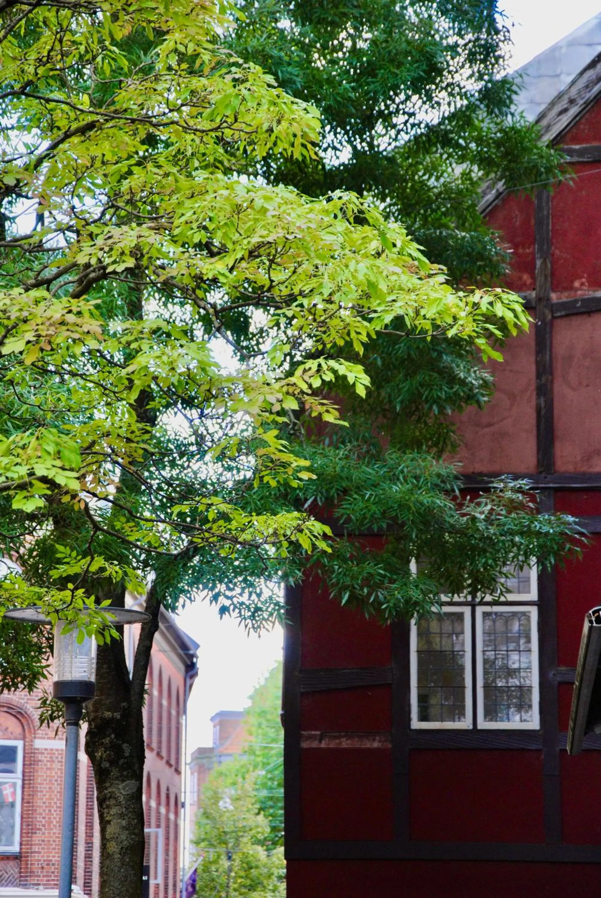 View (from property/room) in Aparthotel Mageløs 12