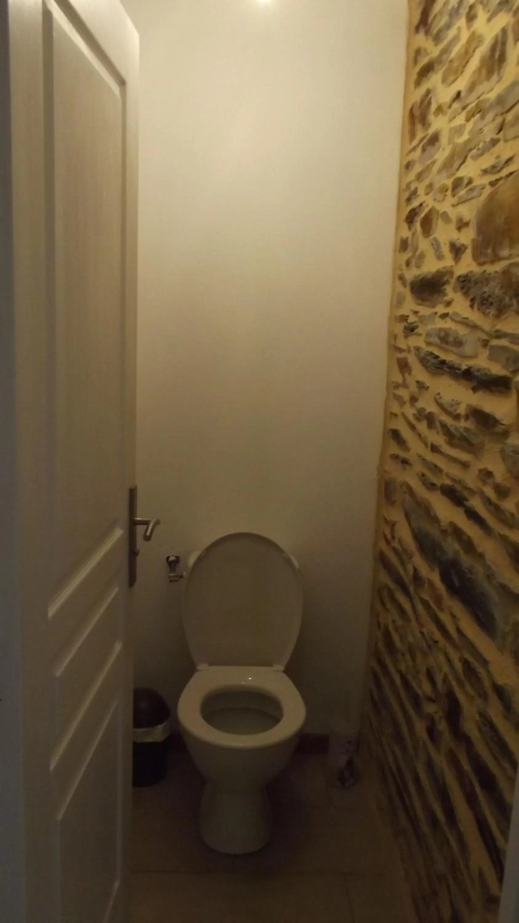 Toilet in Gîte des Forges