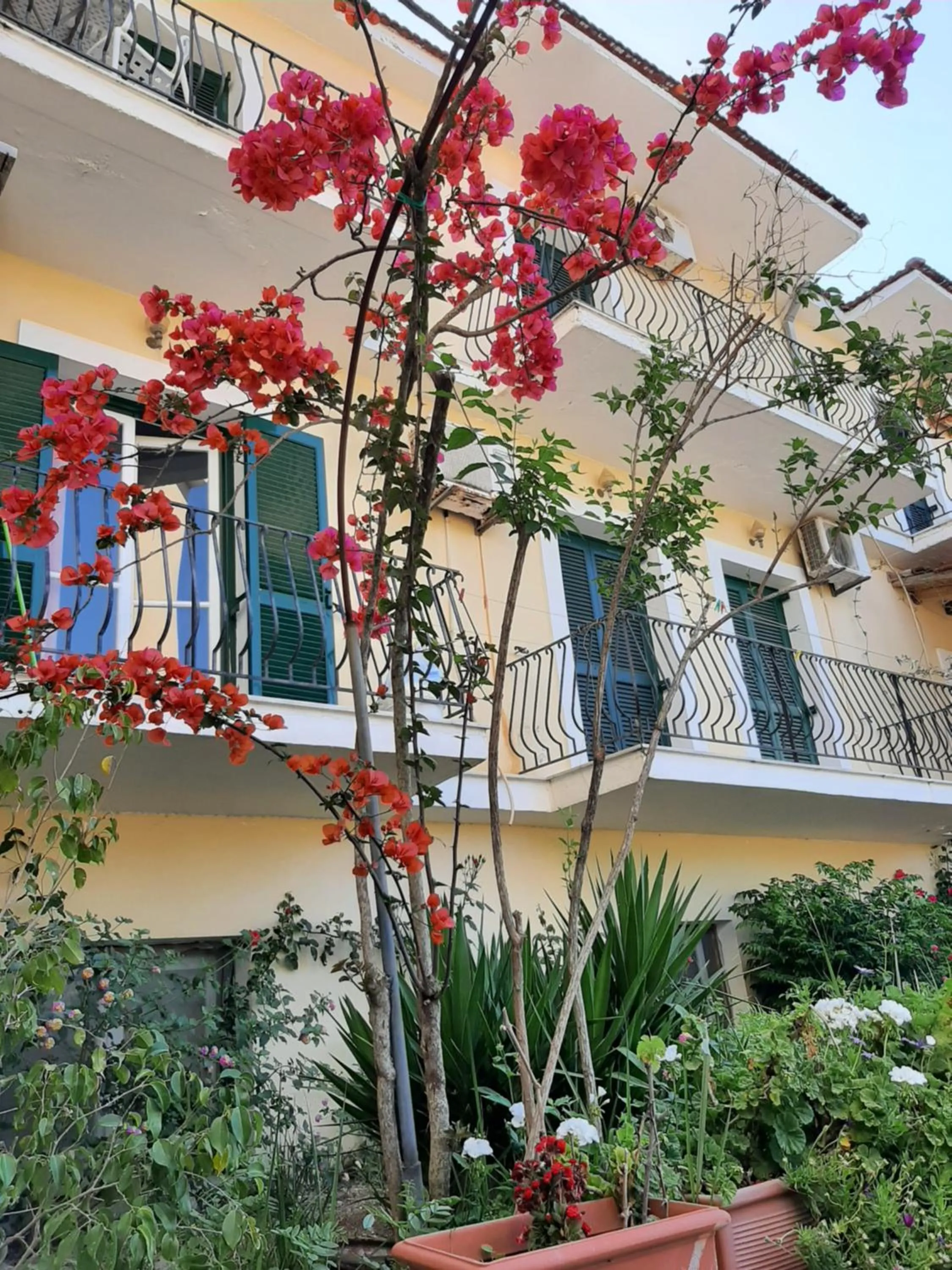 Property building in Ammousa Hotel Apartments