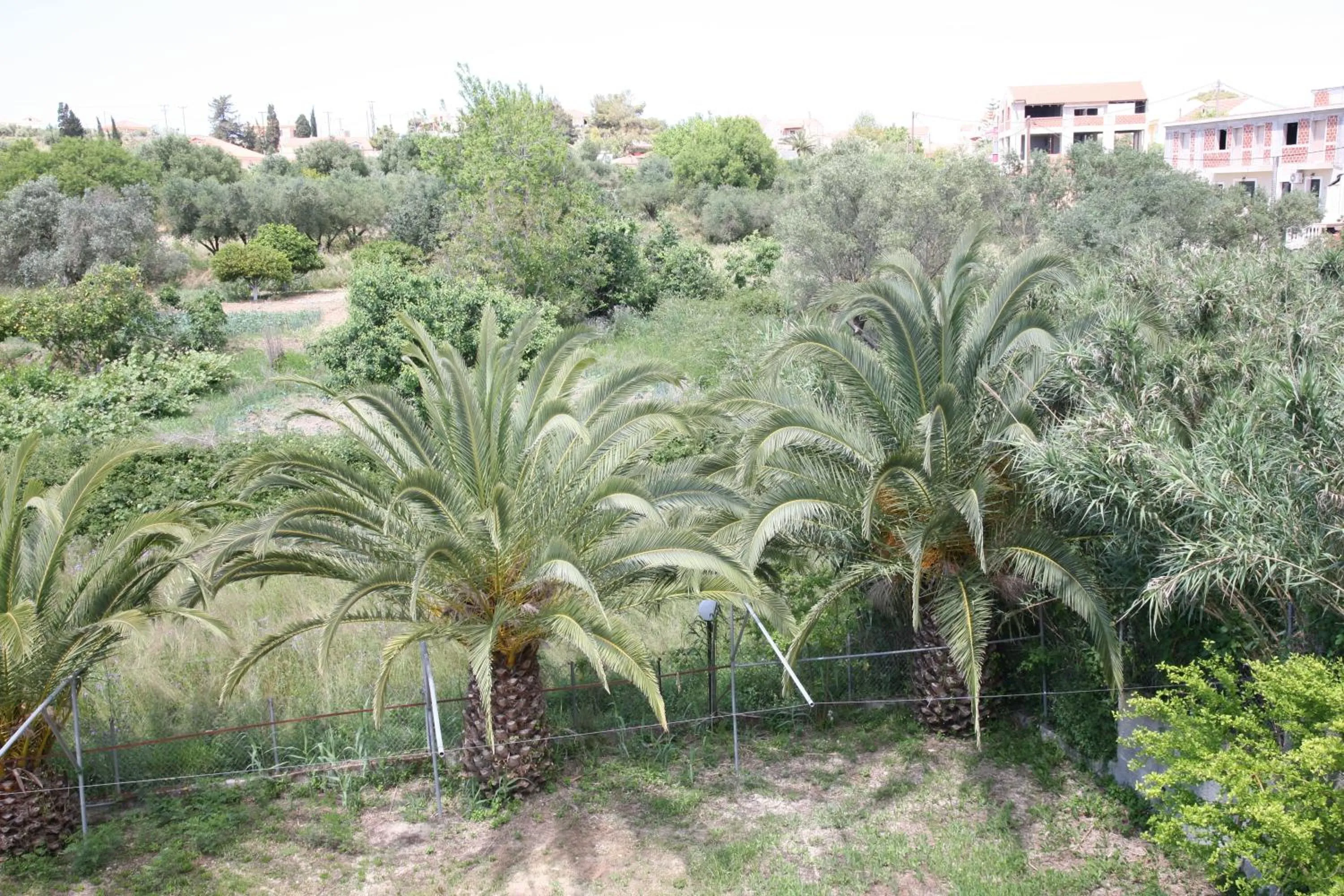 Natural landscape in Ammousa Hotel Apartments
