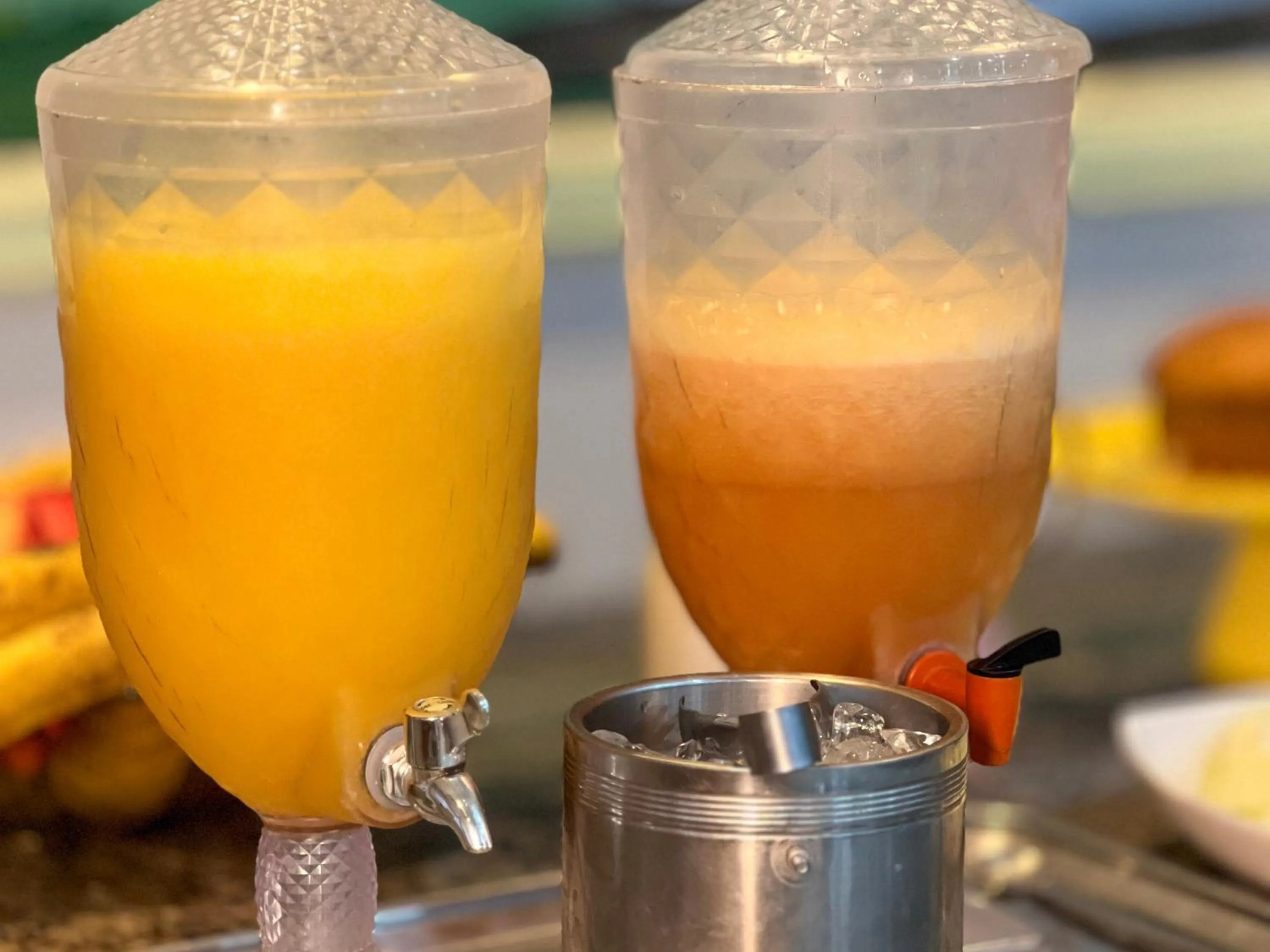 Marion Pantanal Hotel