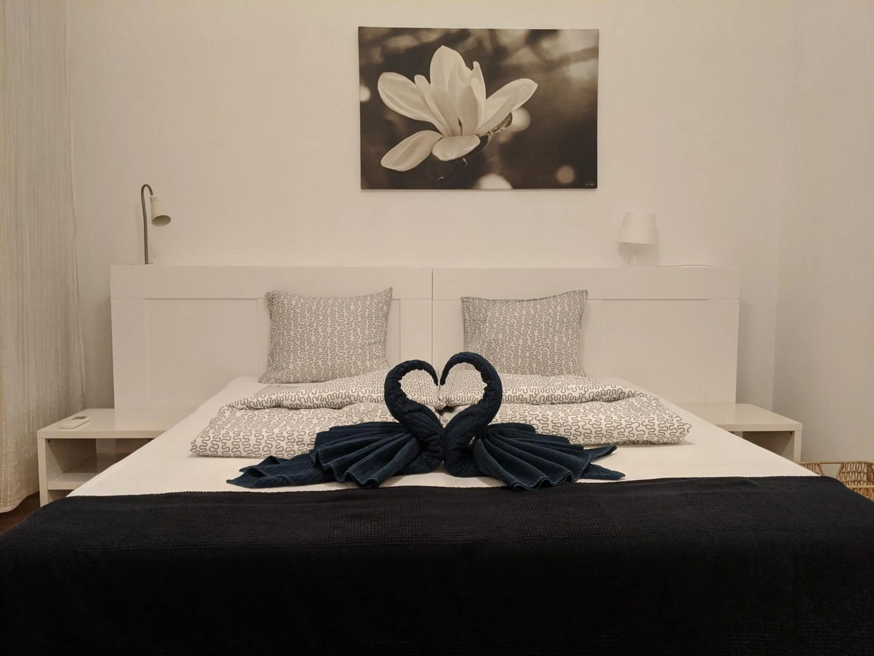 Bed in Avenue Hostel