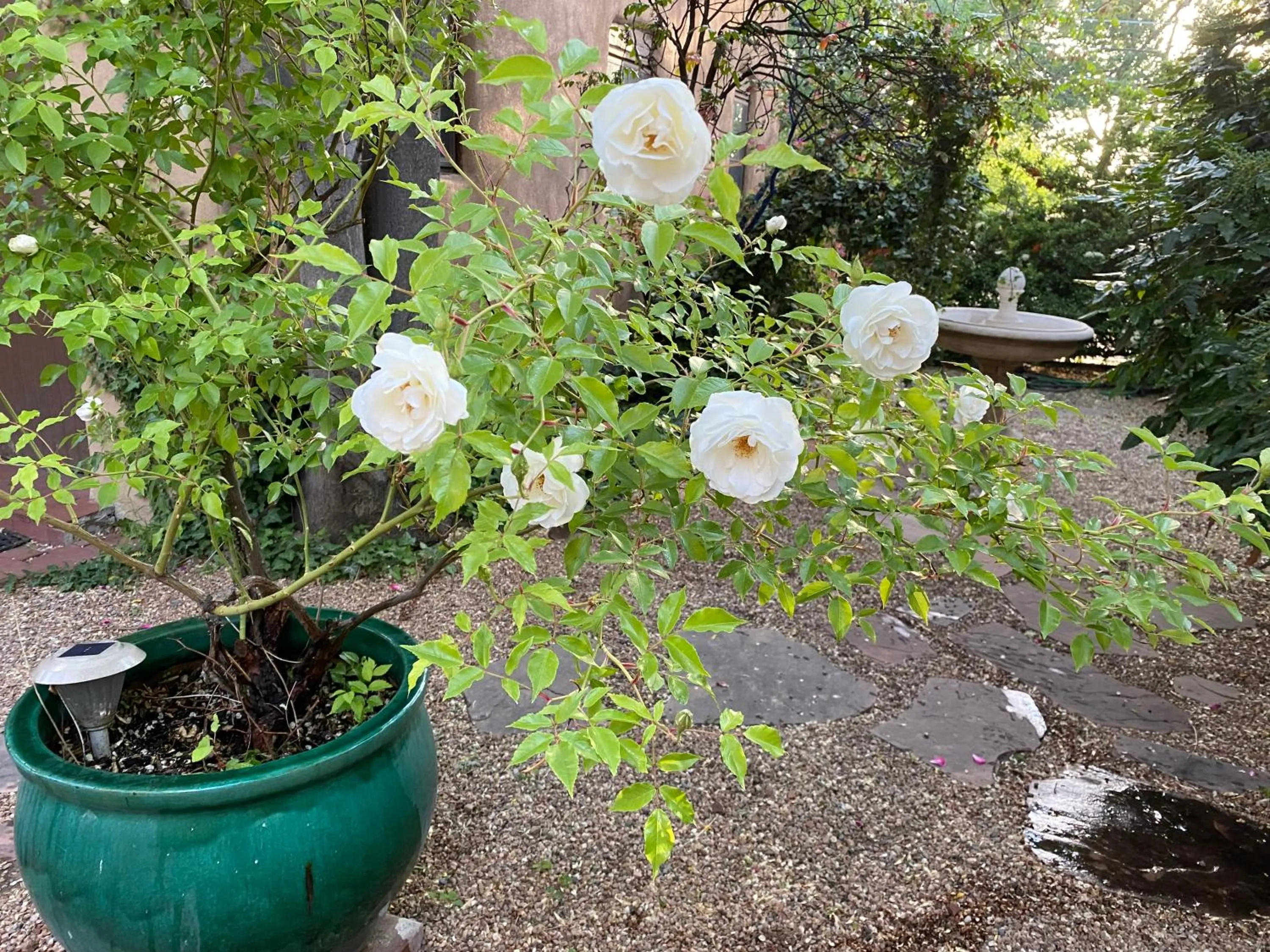 Inner courtyard view in Casa de Tres Lunas/House of Three Moons