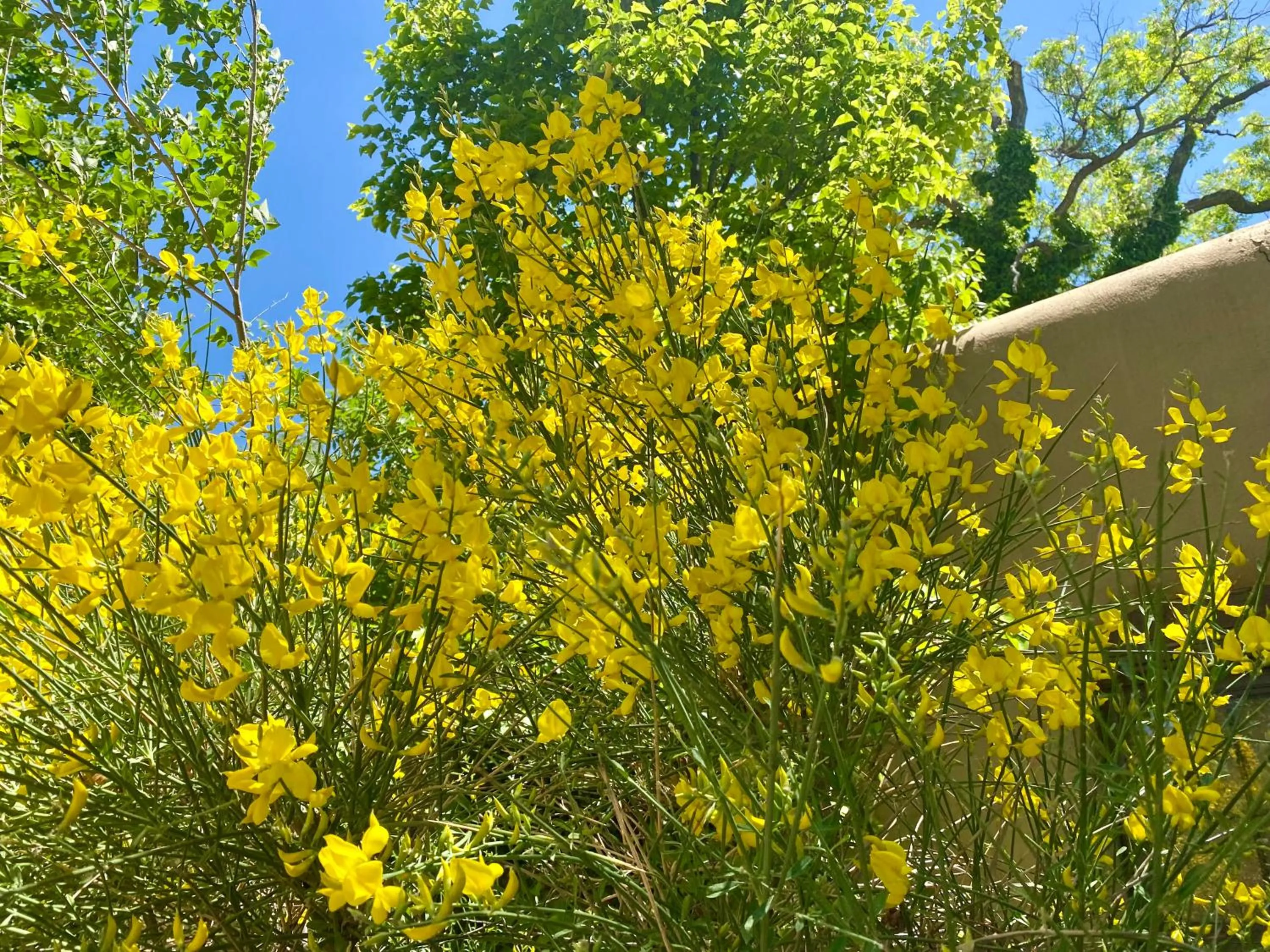 Facade/entrance in Casa de Tres Lunas/House of Three Moons