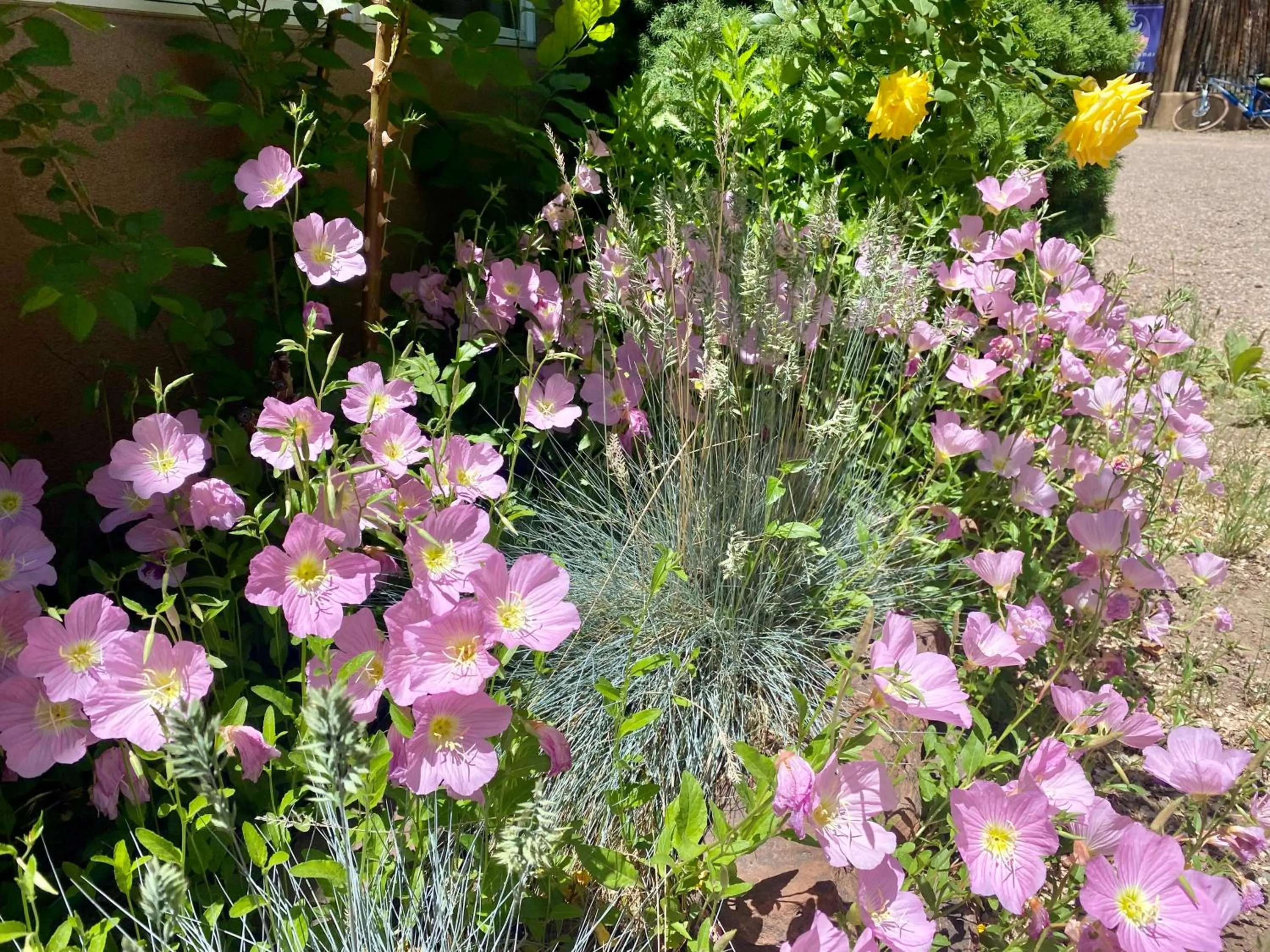 Facade/entrance in Casa de Tres Lunas/House of Three Moons