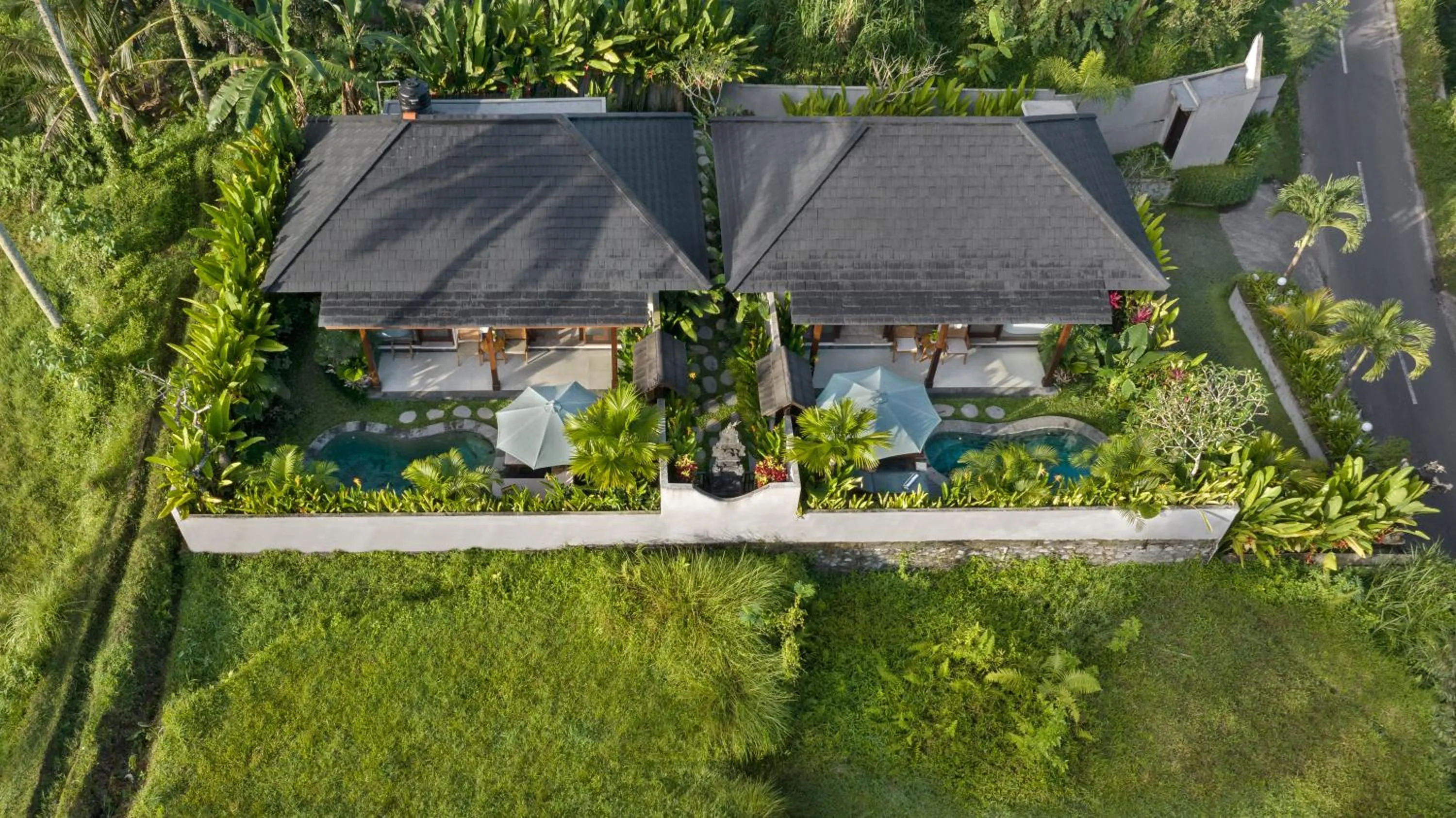View (from property/room) in Arvanya Villa Ubud