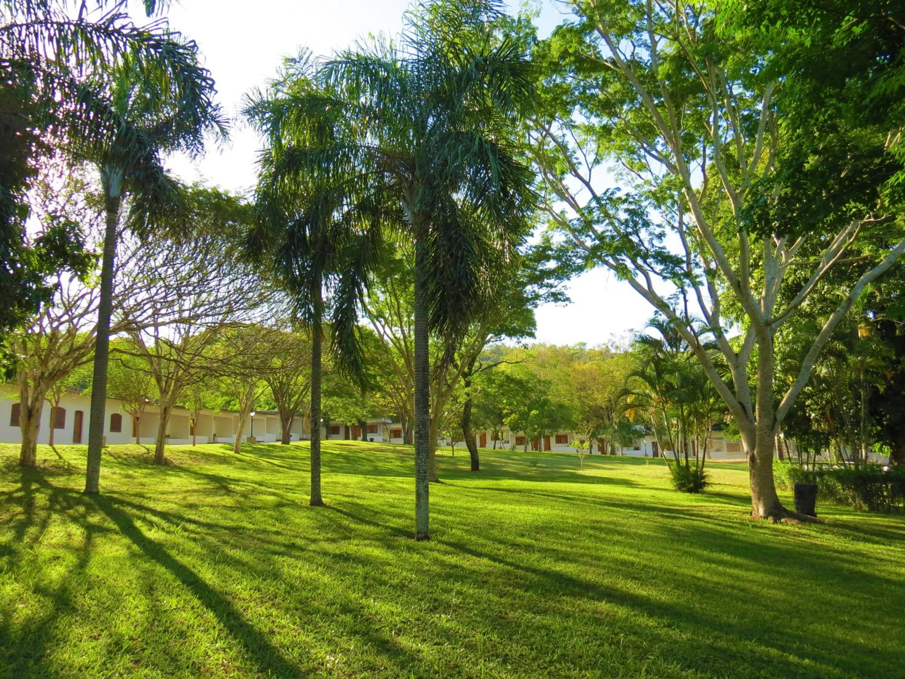 Natural landscape in Resort Fazenda Sao João