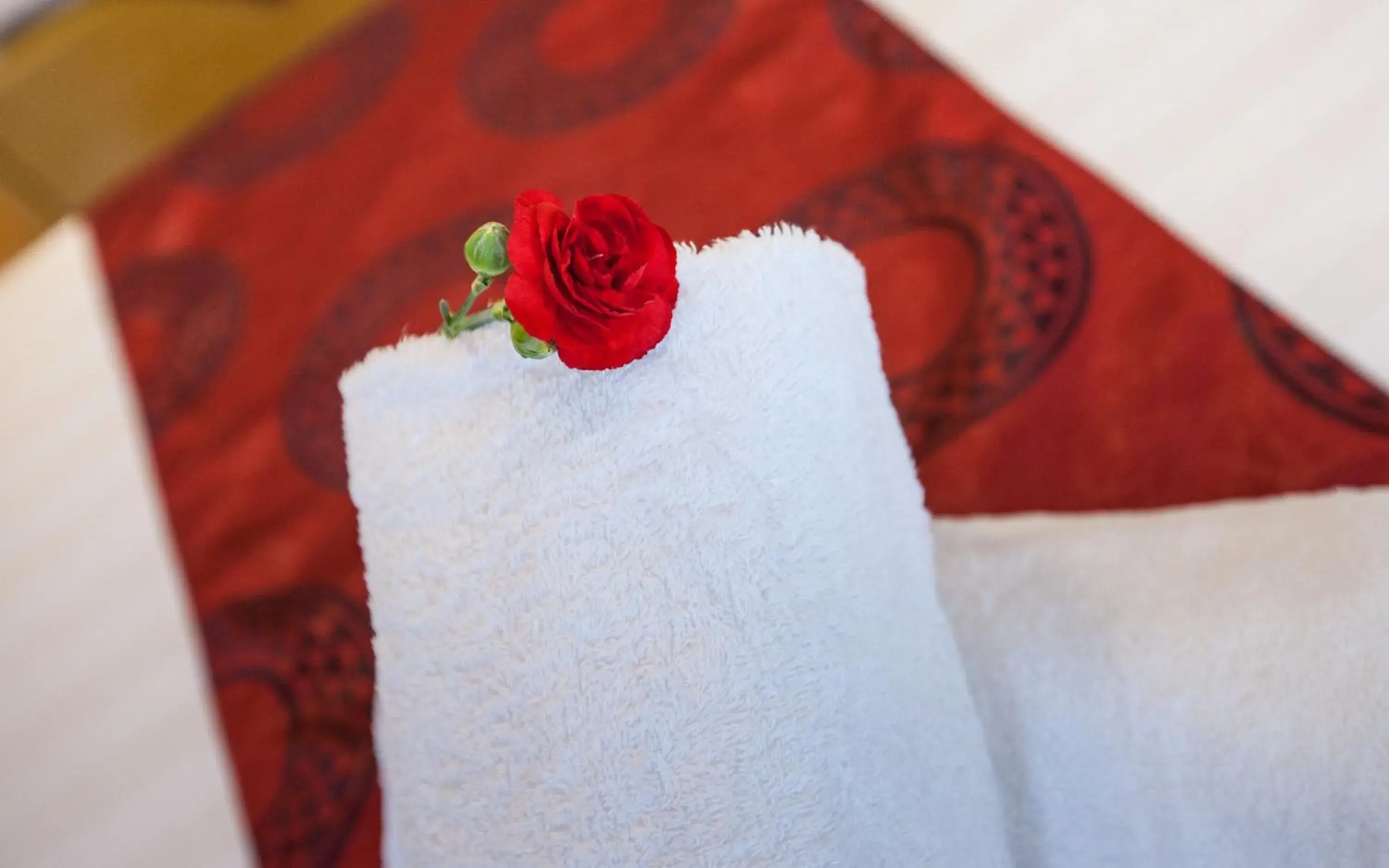 Ailen Garden 2 Hotel Ailen Garden 2 Hotel