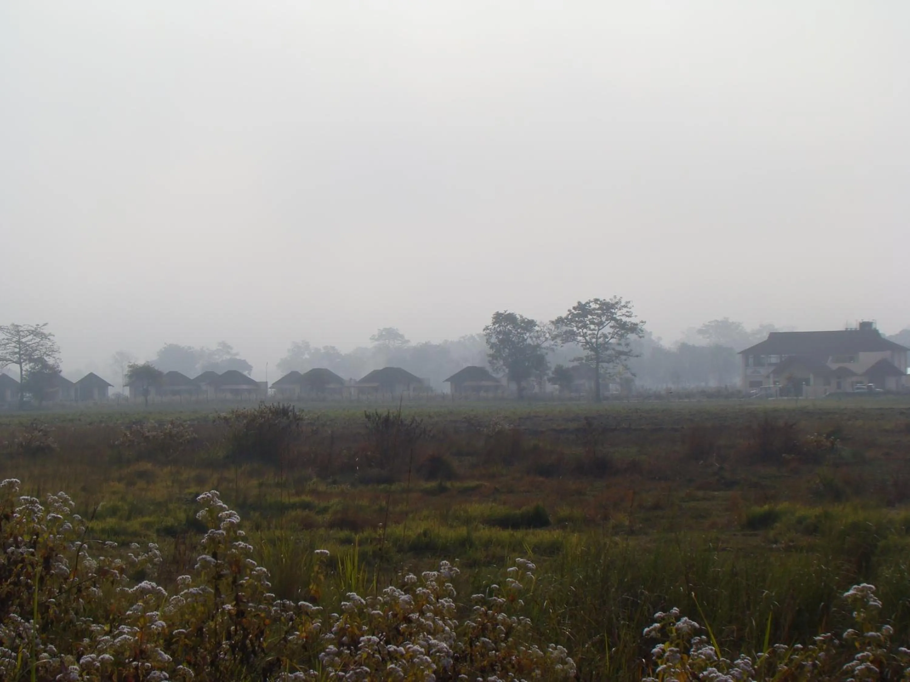 Bird's eye view in Musa Jungle Retreat