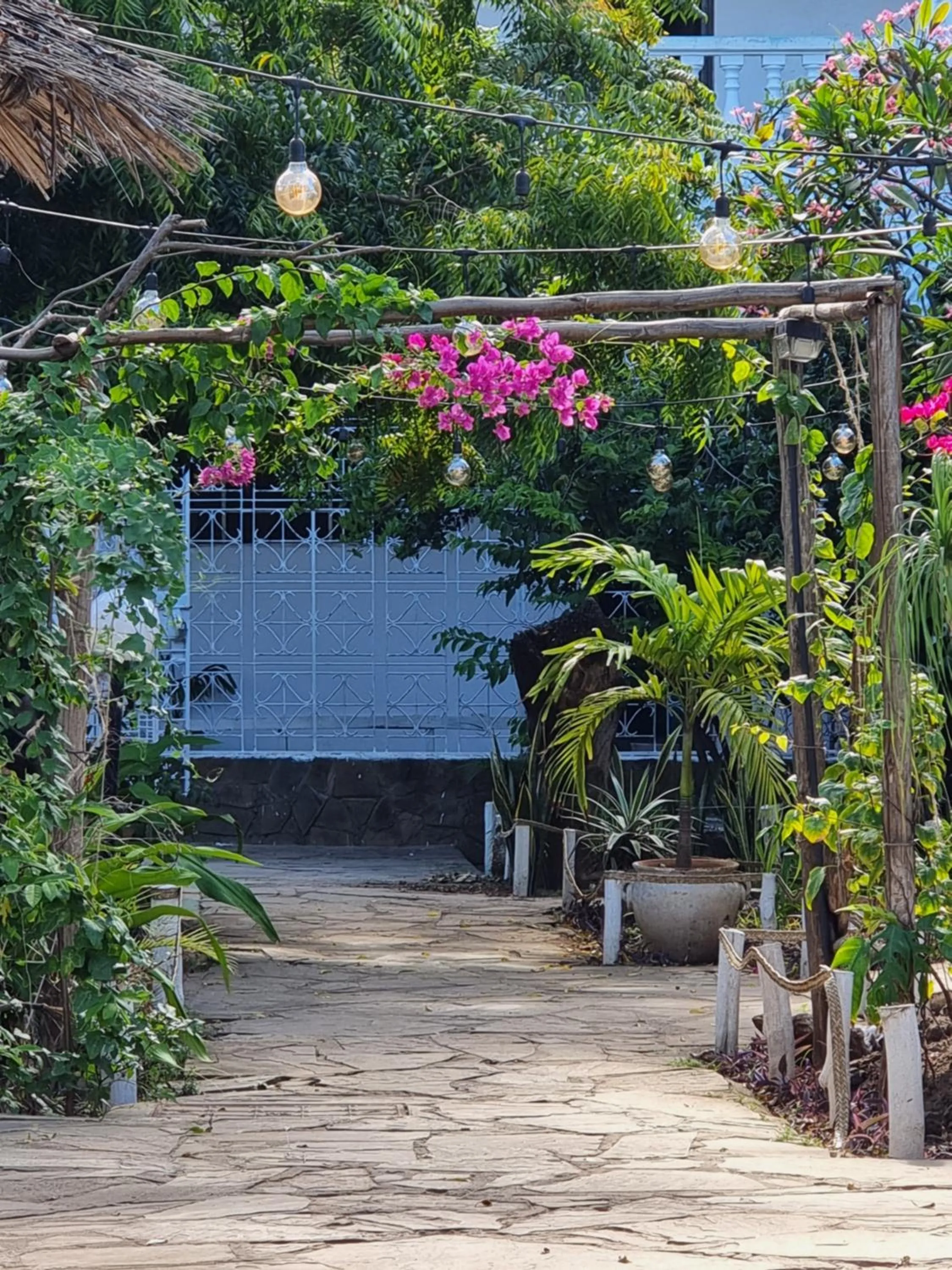 Tulia House Backpackers