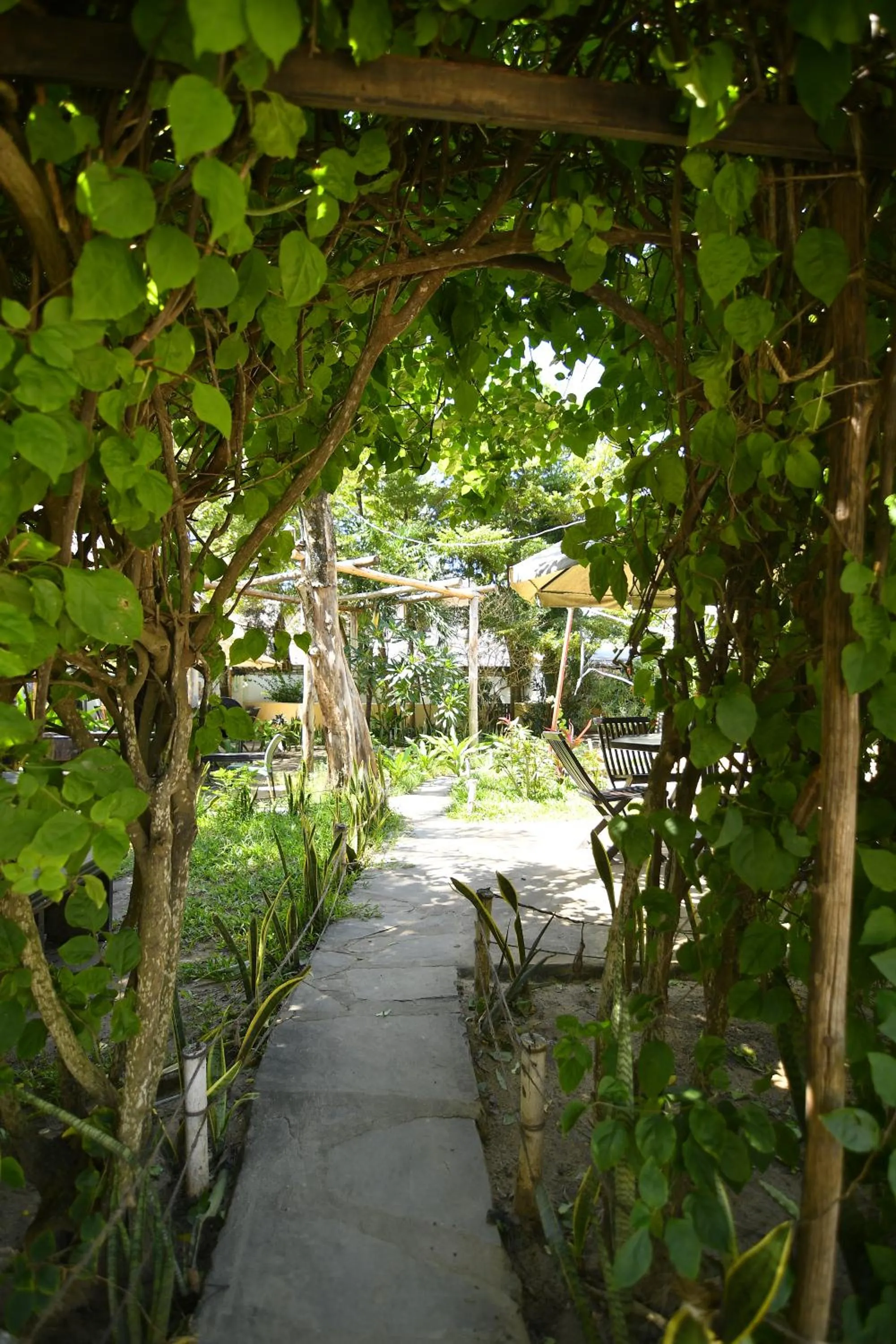 Tulia House Backpackers