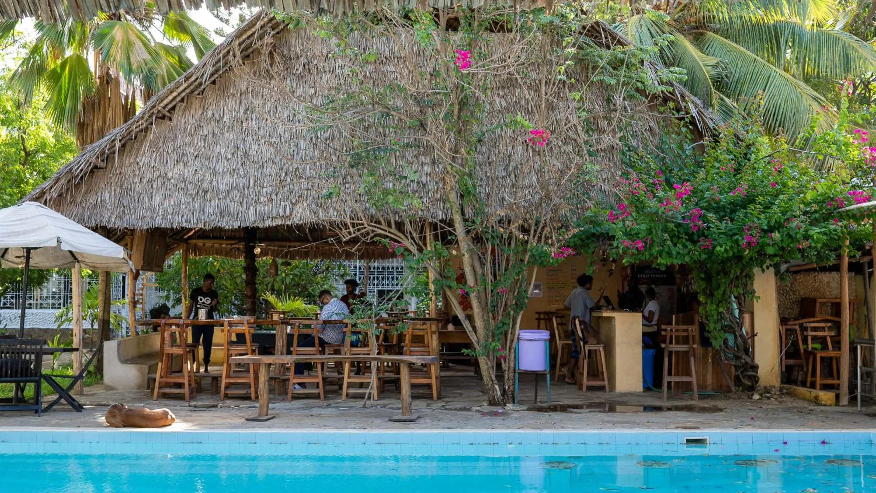 Restaurant/places to eat in Tulia House Backpackers